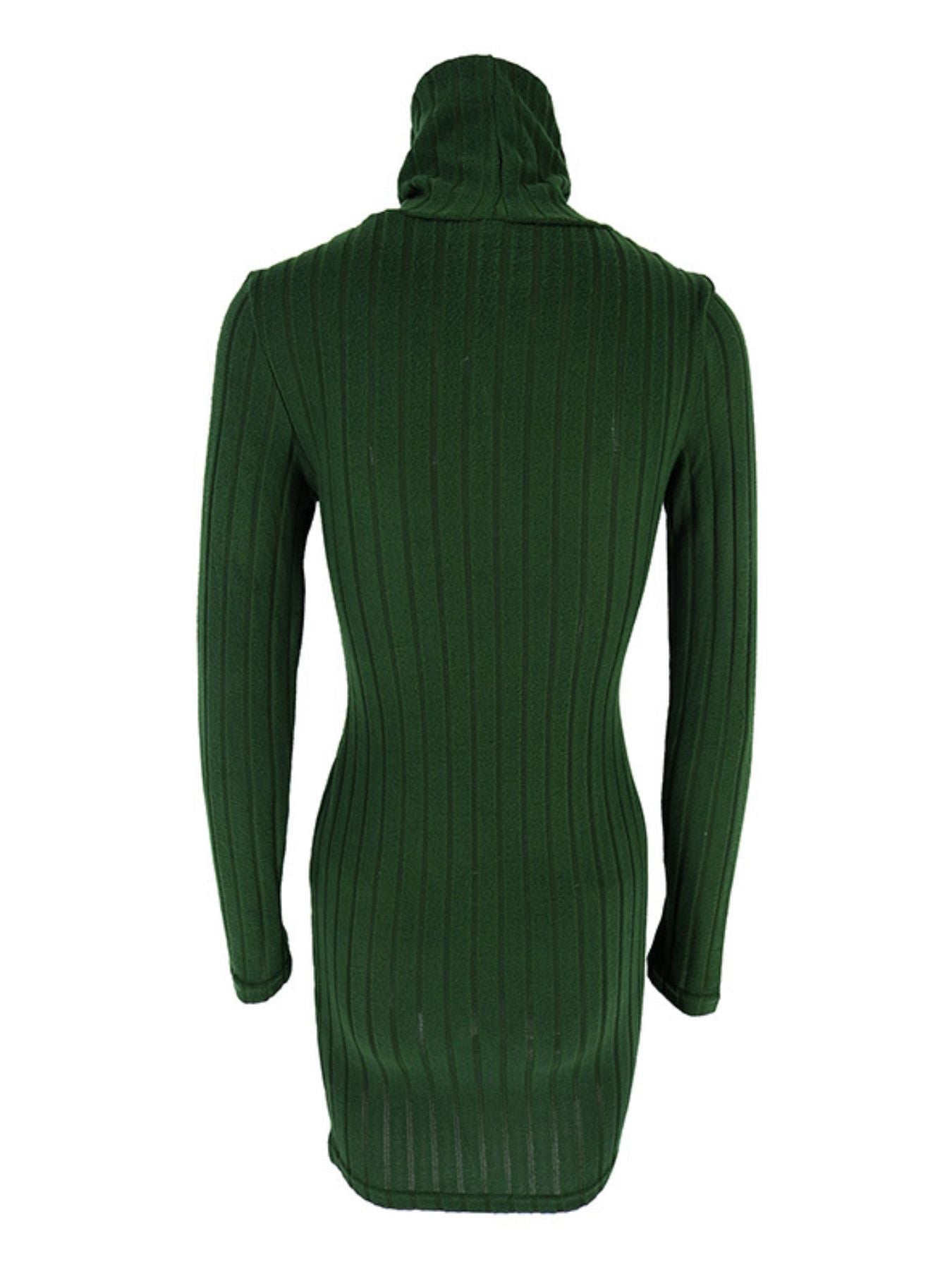 Turtleneck Ribbed Bodycon Mini Dress