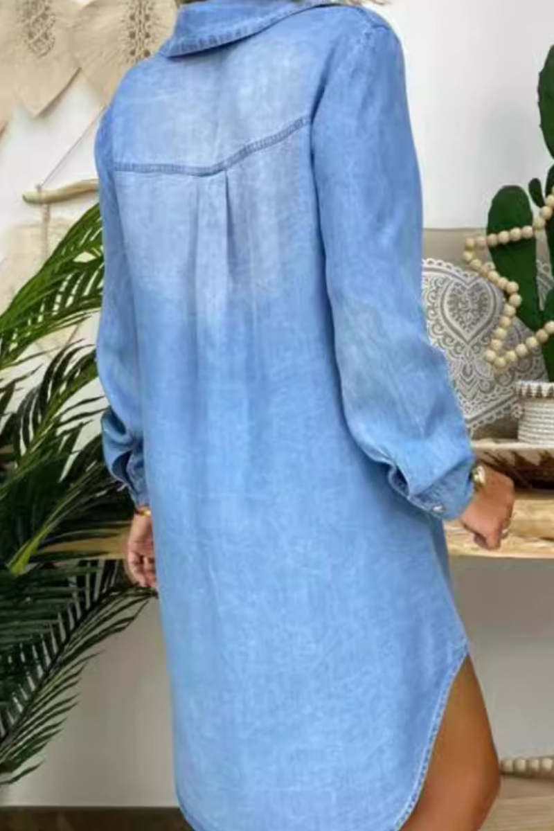 Women's Flip Collar Buckle Wash Water Casual Loose Dress