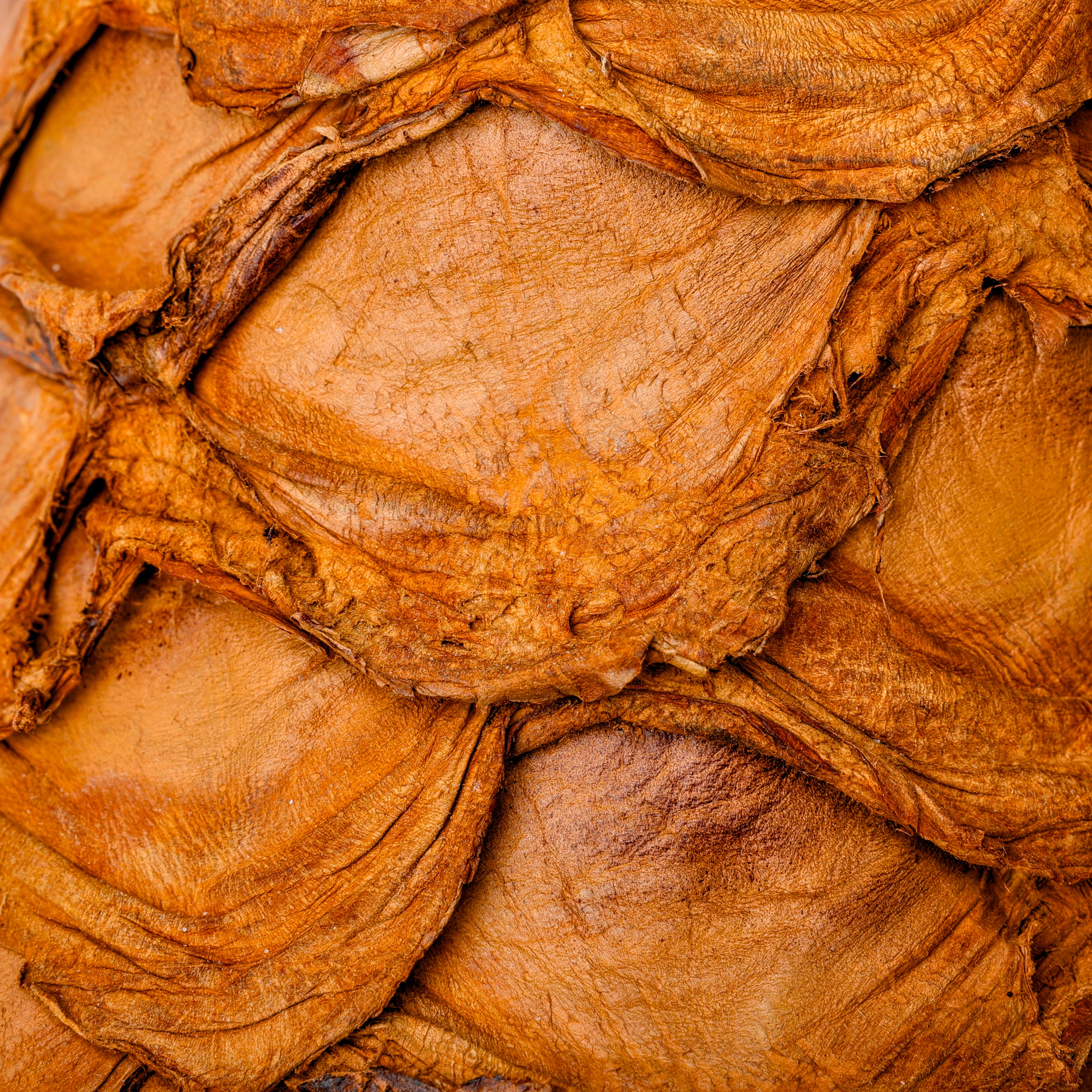 Matte Tan Genuine Pirarucu Boots - Square Toe