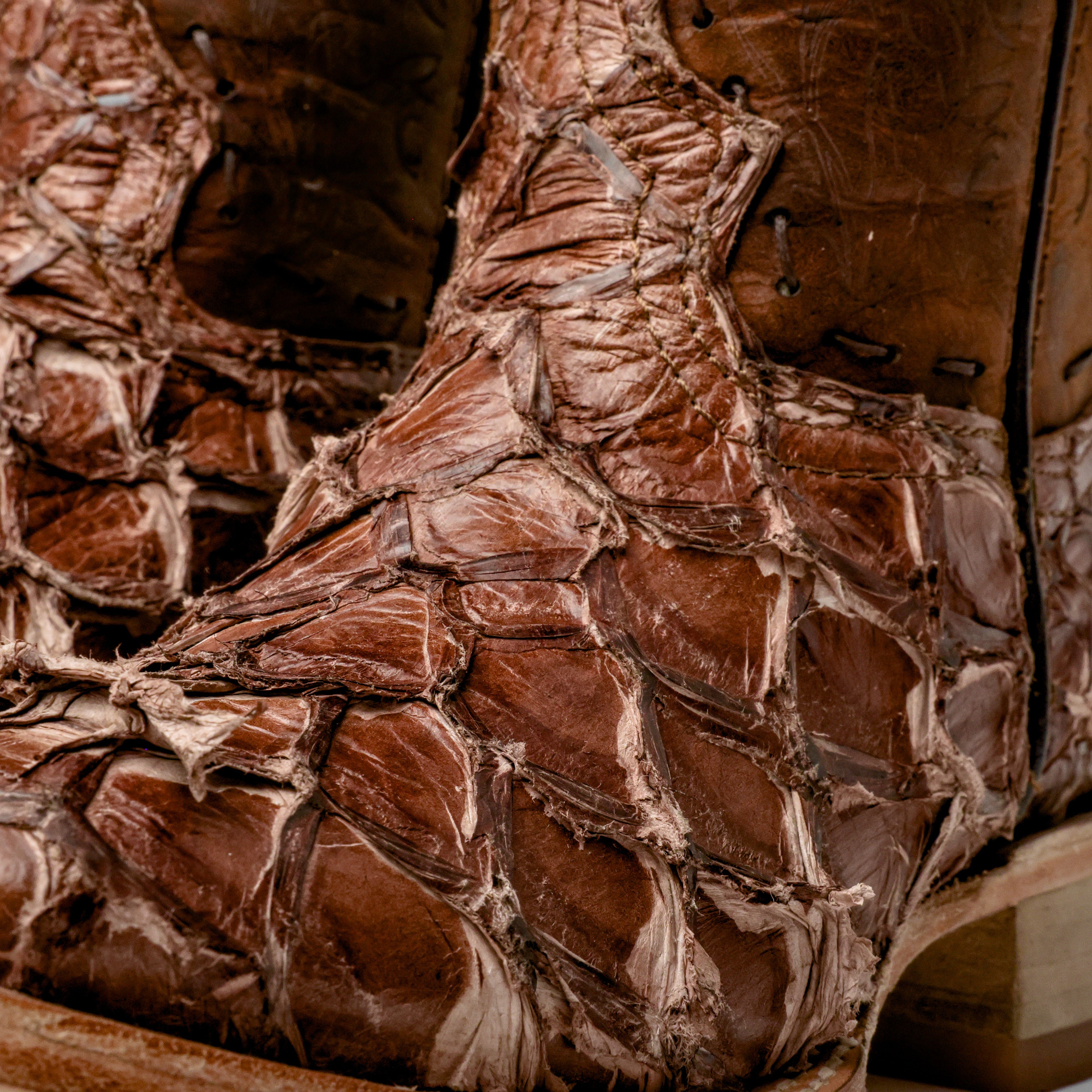 GENUINE Cinnamon Pirarucu Boots - Square Toe