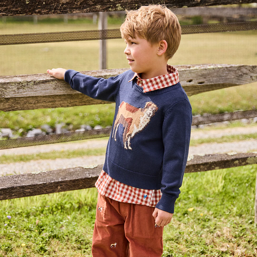 Boys Jack Shirt Pony Gingham