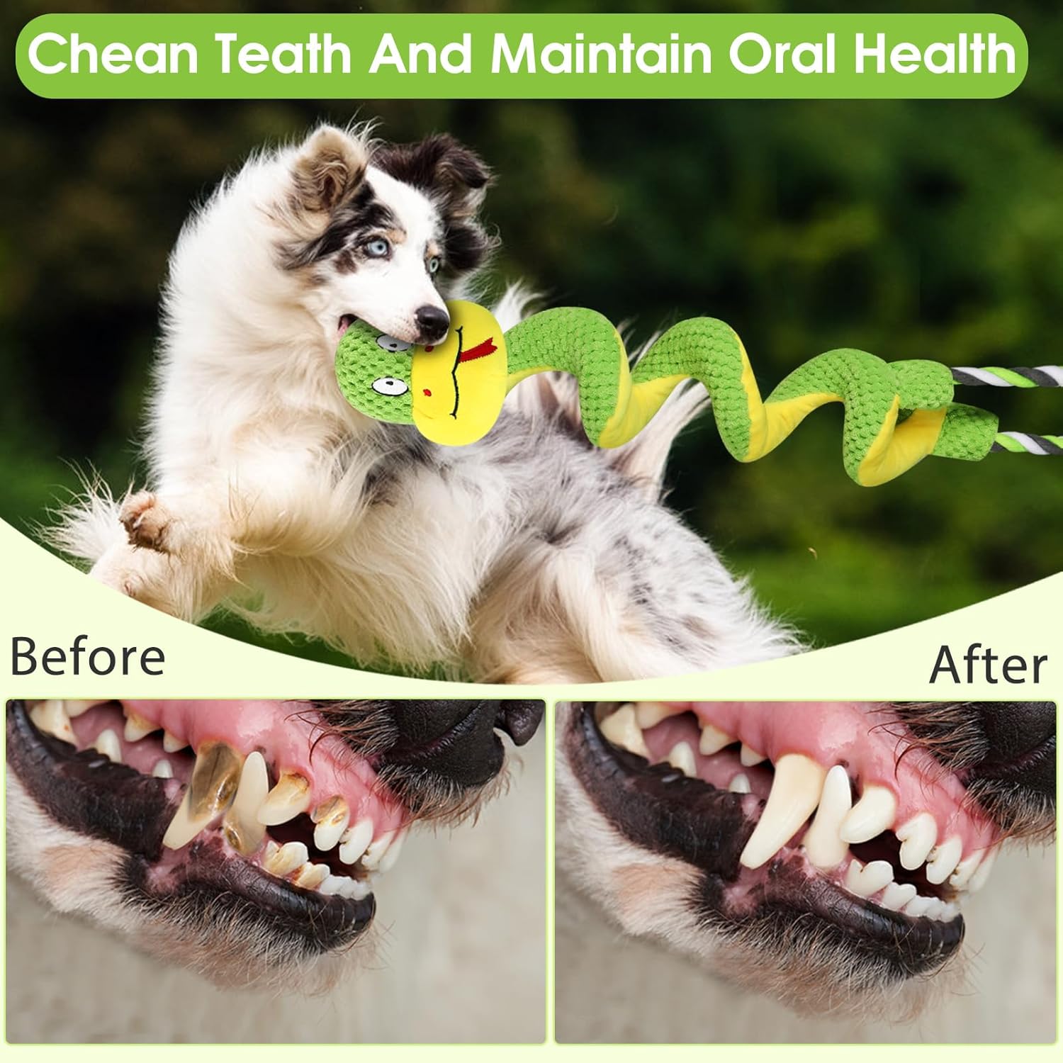 Ultimate Chew-Proof Rope Dog Toy