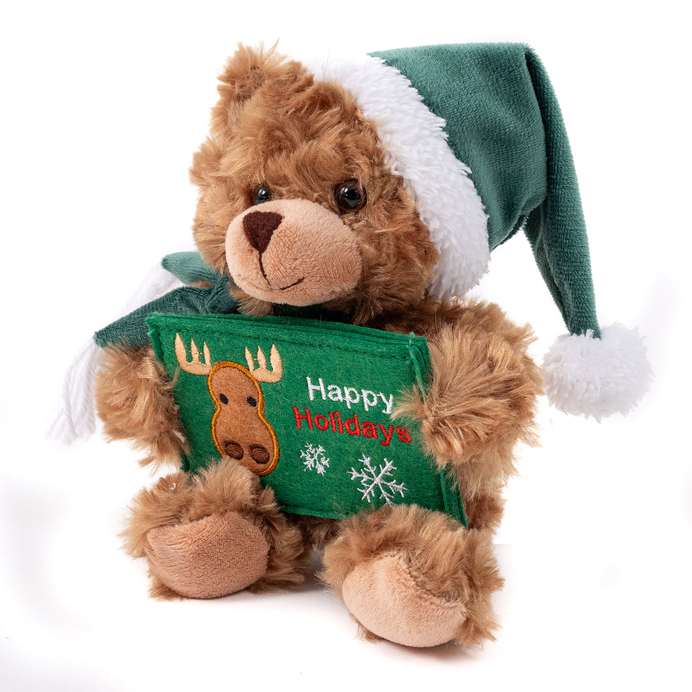 Christmas Green Gift Card Bear 9inch