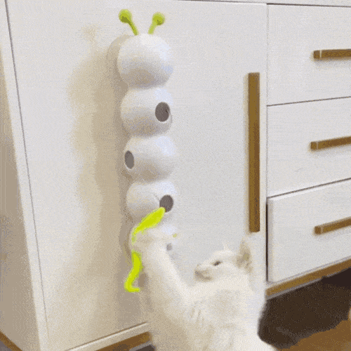 Motion Cat Toy With Worm