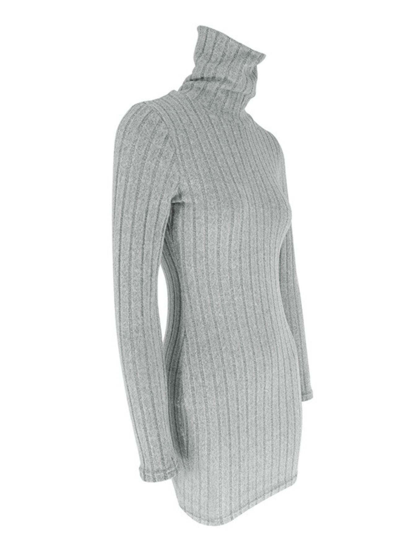 Turtleneck Ribbed Bodycon Mini Dress