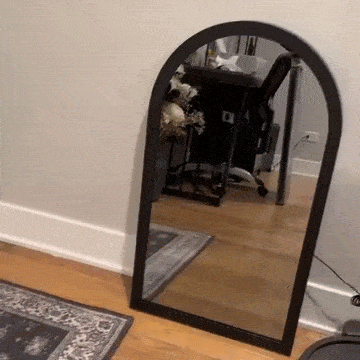 2025 Halloween Hologram Ghost Mirror