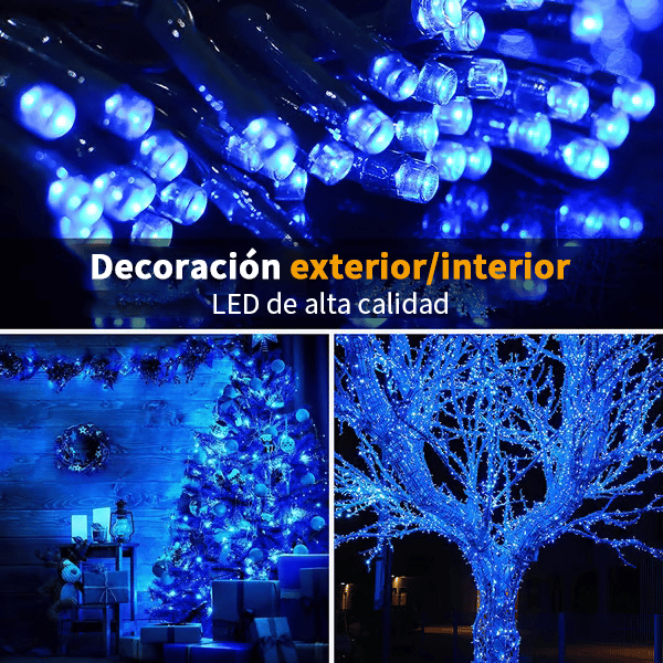 🎄Outdoor and Indoor Christmas Lights