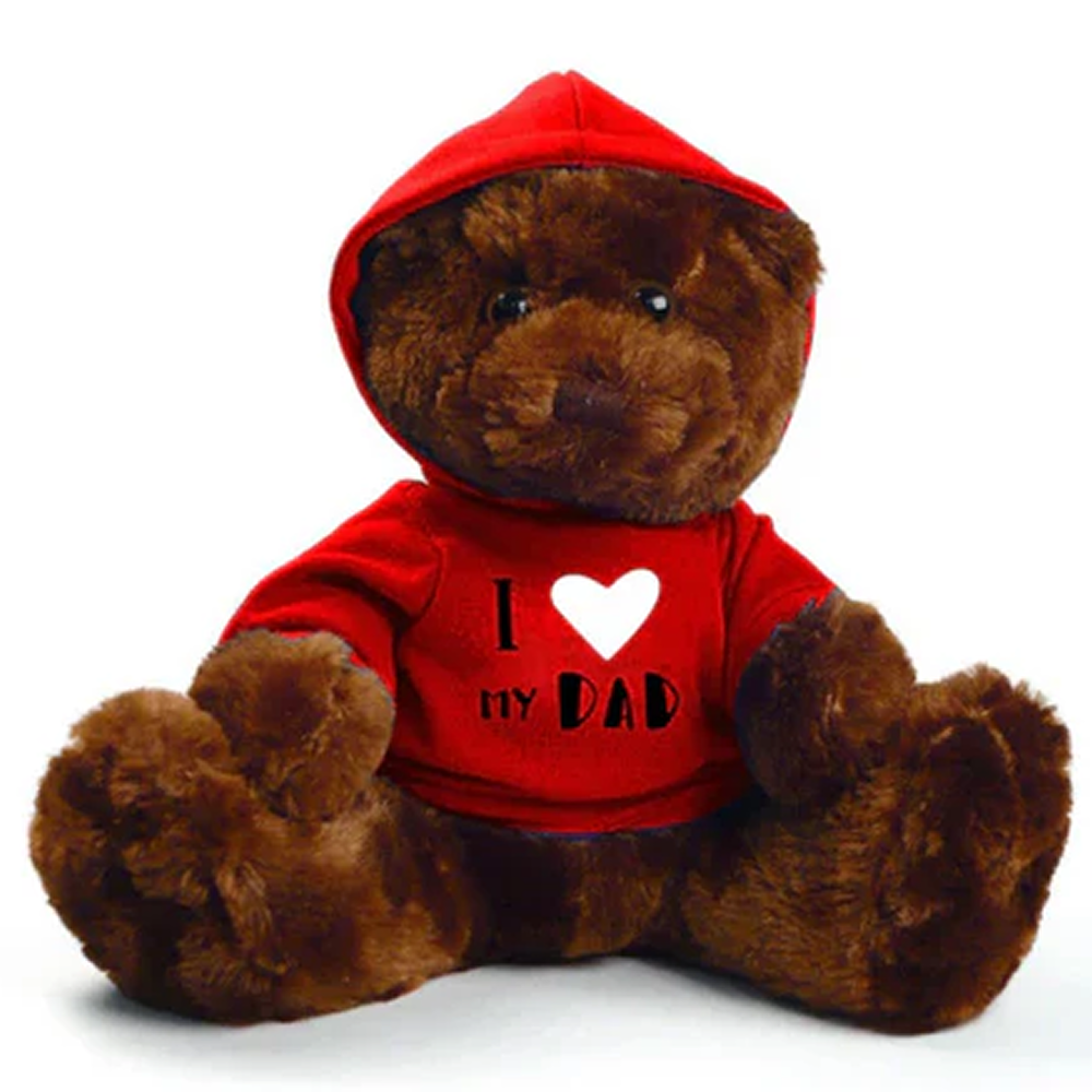 Father's Day Teddy Bear 11inch