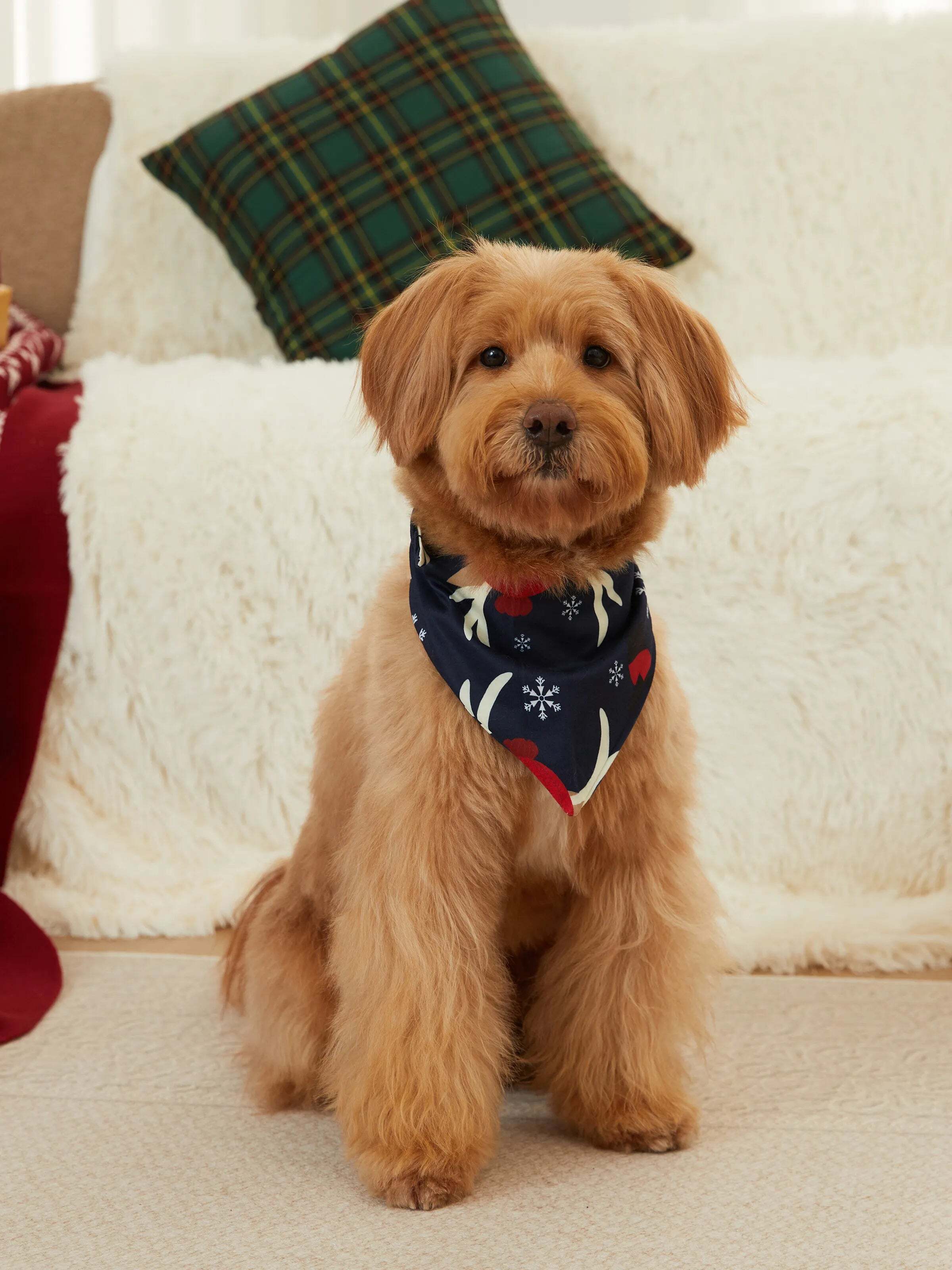 Christmas Family Pajamas Reindeer Pattern Big Graphic Raglan Sleeves Pajamas Sets with Christmas Socks Dark blue/White/Red