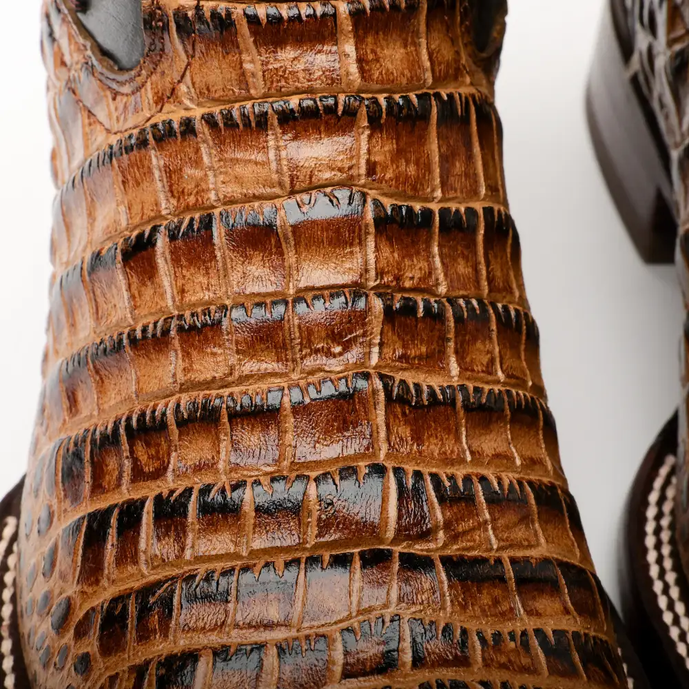 Honey Caiman Belly Leather Boots - Square Toe