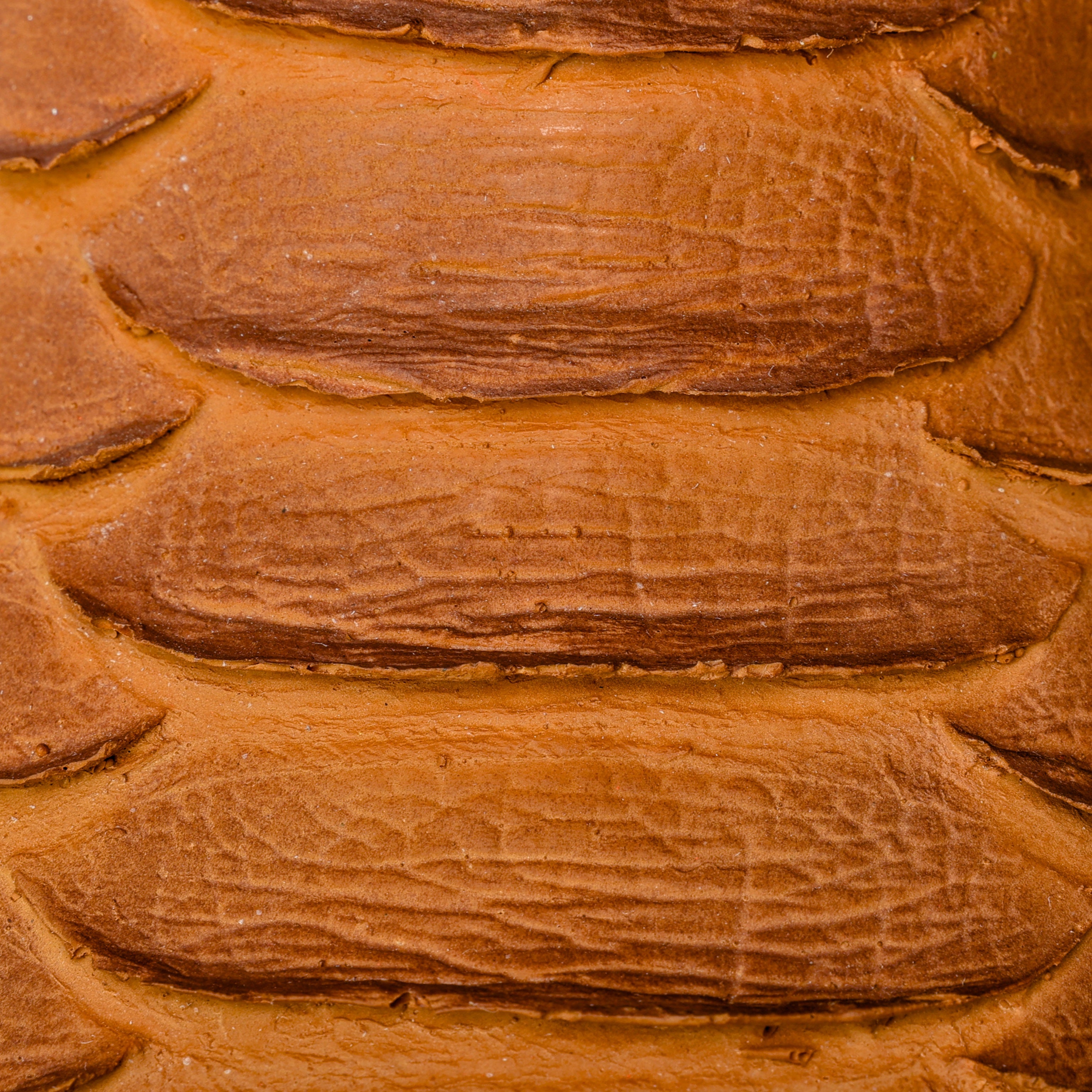 Matte Tan Jumbo Python Leather Boots - Square Toe