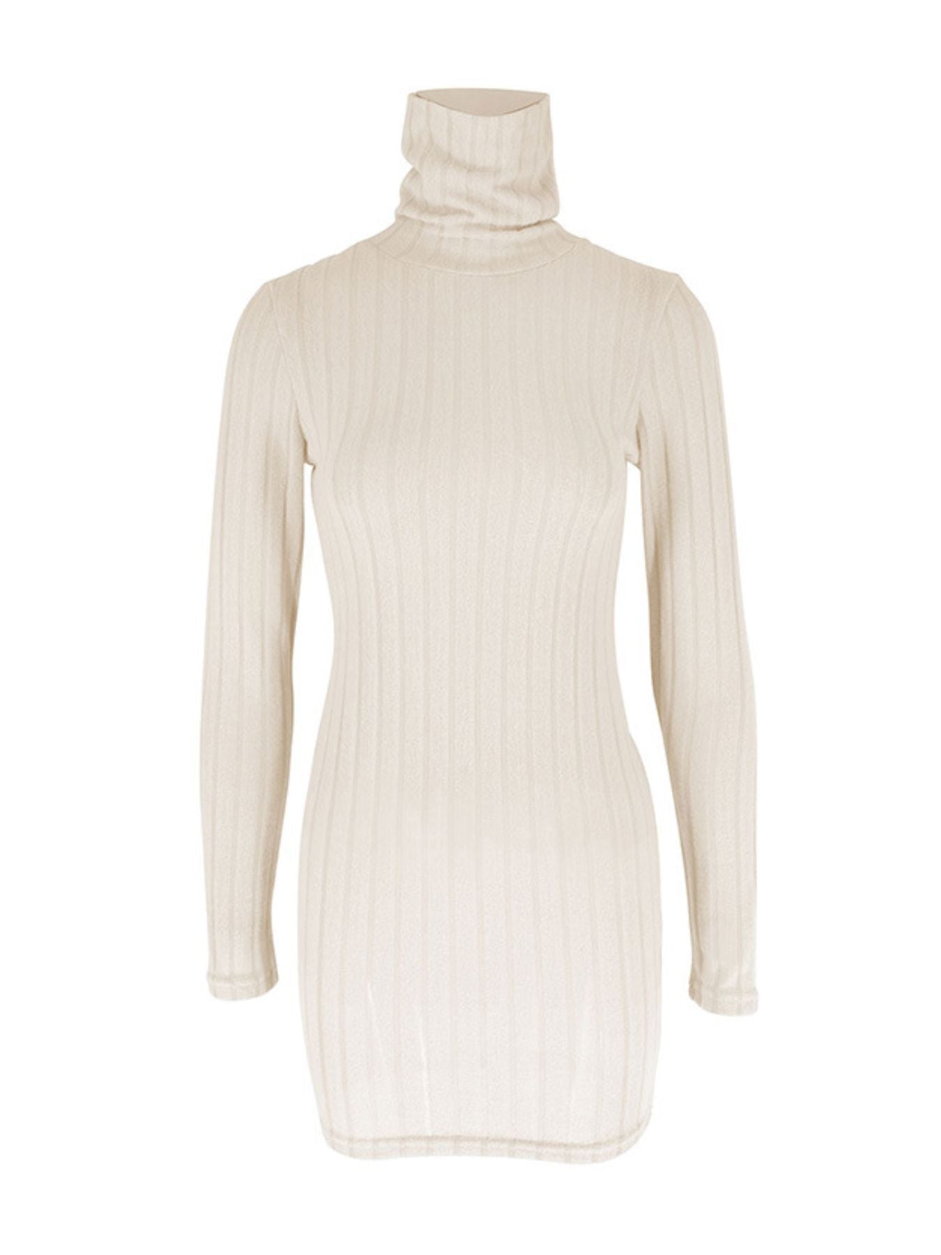Turtleneck Ribbed Bodycon Mini Dress