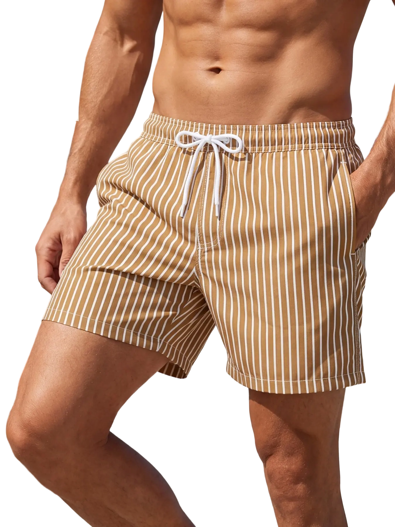 Men's Regular Fit Striped Print Shorts