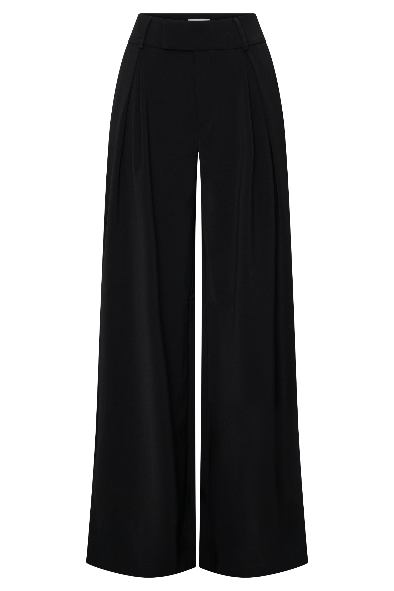Black Pleated Wide Leg Pants