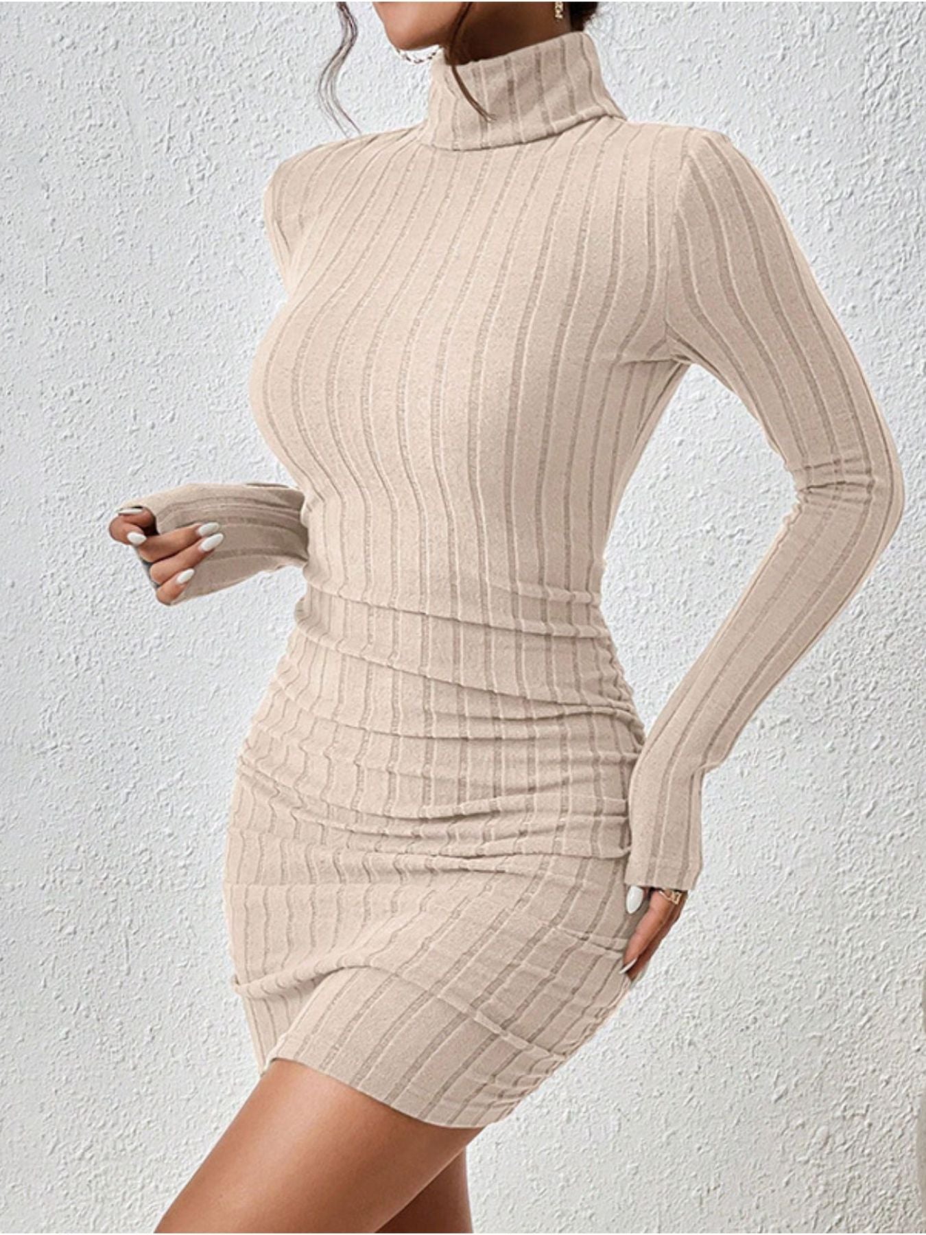 Turtleneck Ribbed Bodycon Mini Dress