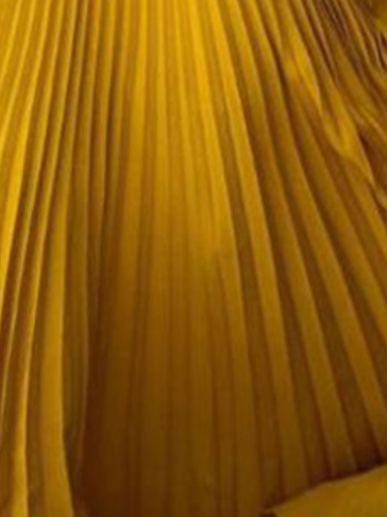 Full Size Off-Shoulder Pleated Maxi Dress Plus Size