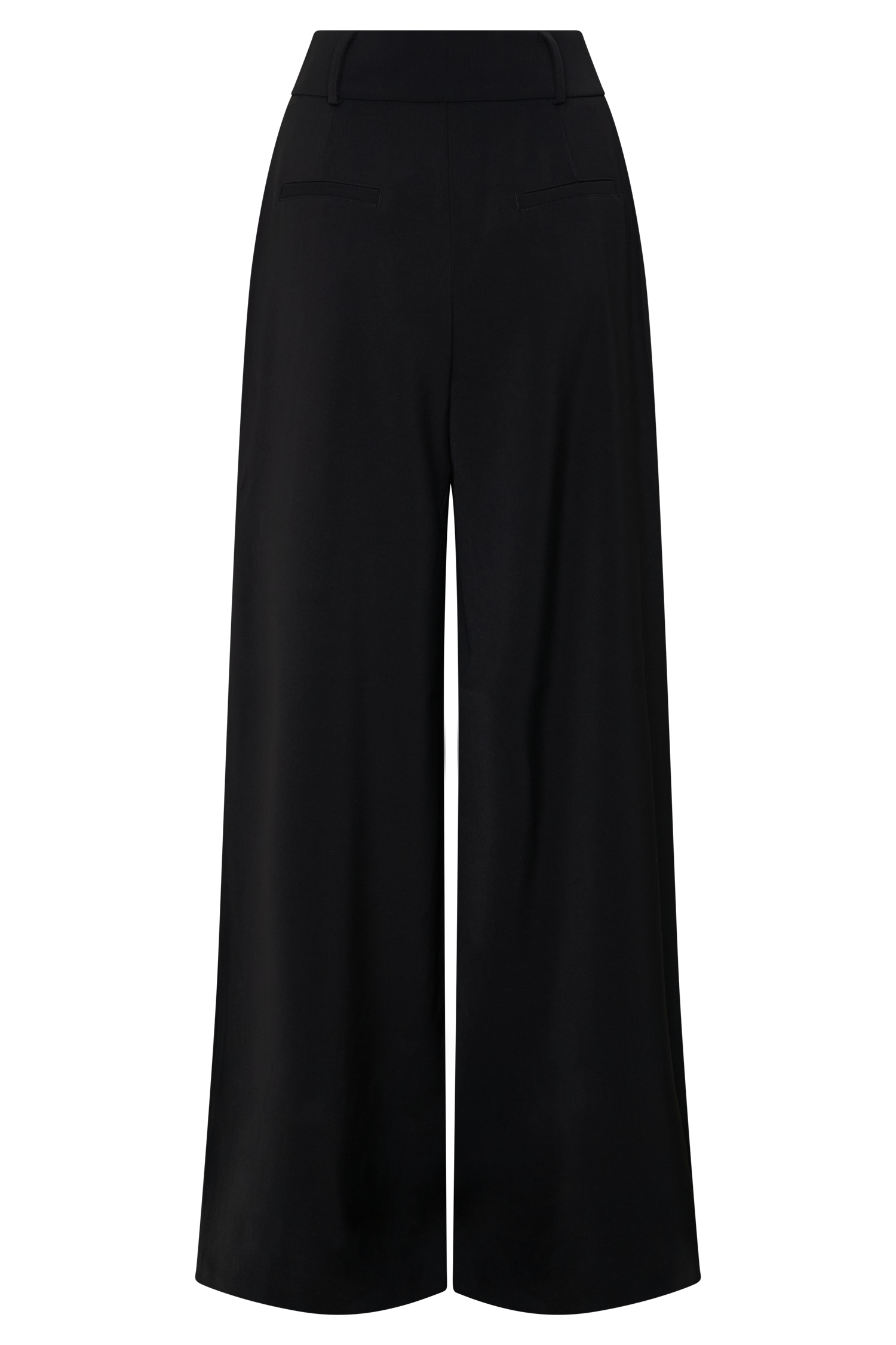 Black Pleated Wide Leg Pants