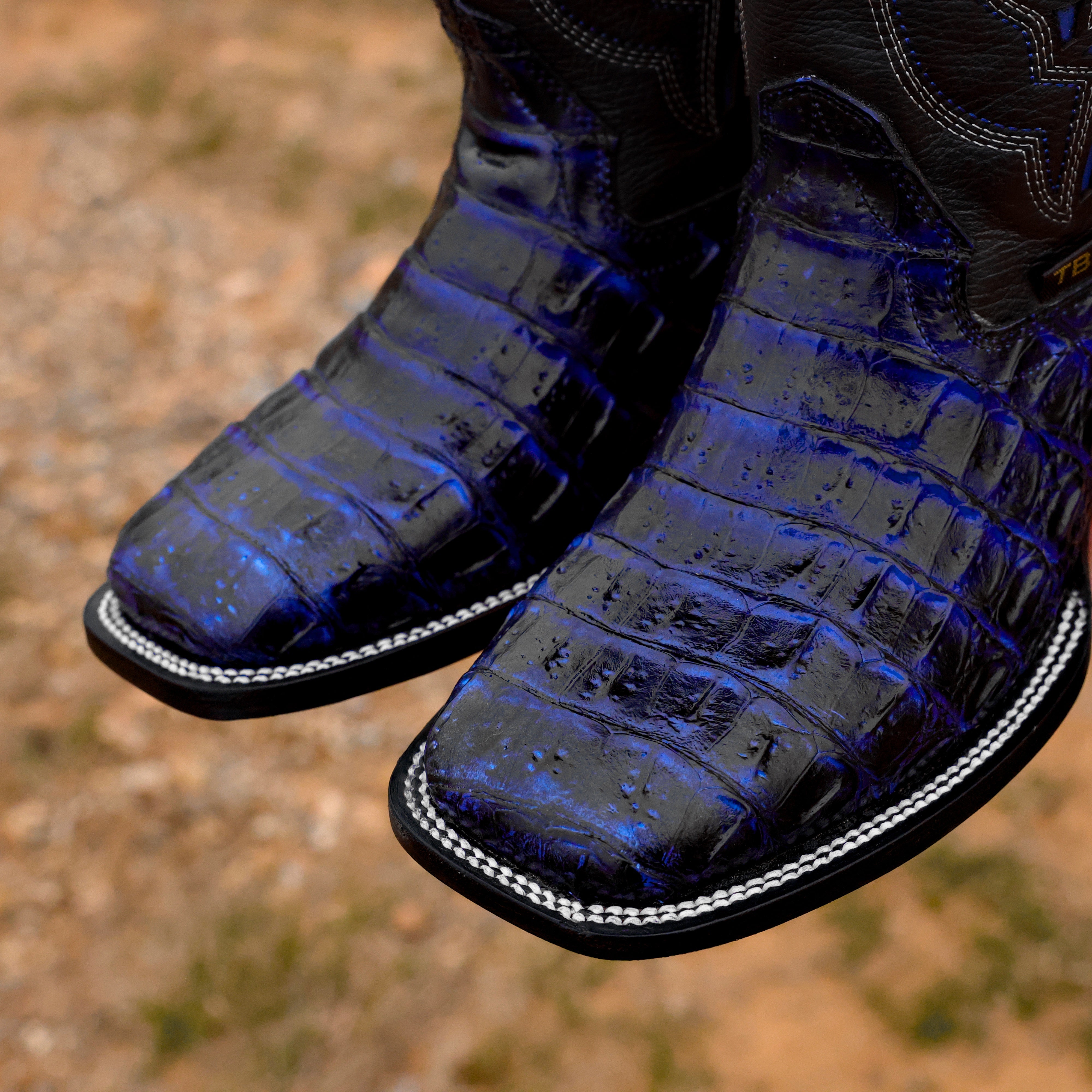 Black/Royal Blue Caiman Hornback Leather Boots - Square Toe