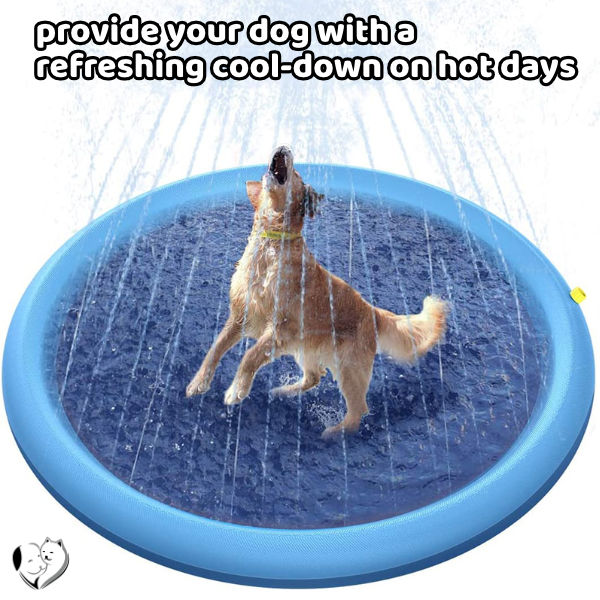 Pet Splash Sprinkler Pad