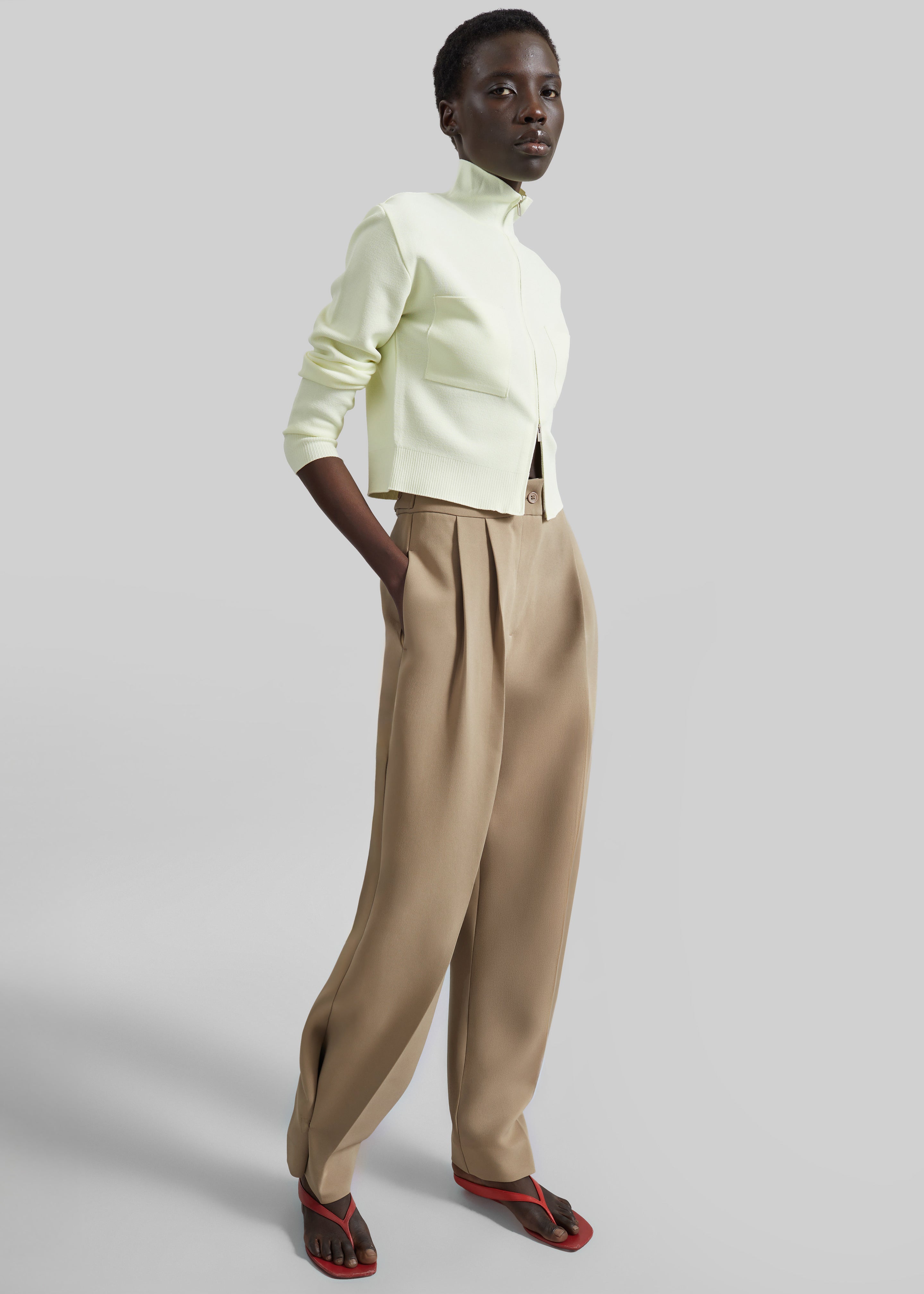 Doyer Pleated Trousers - Beige