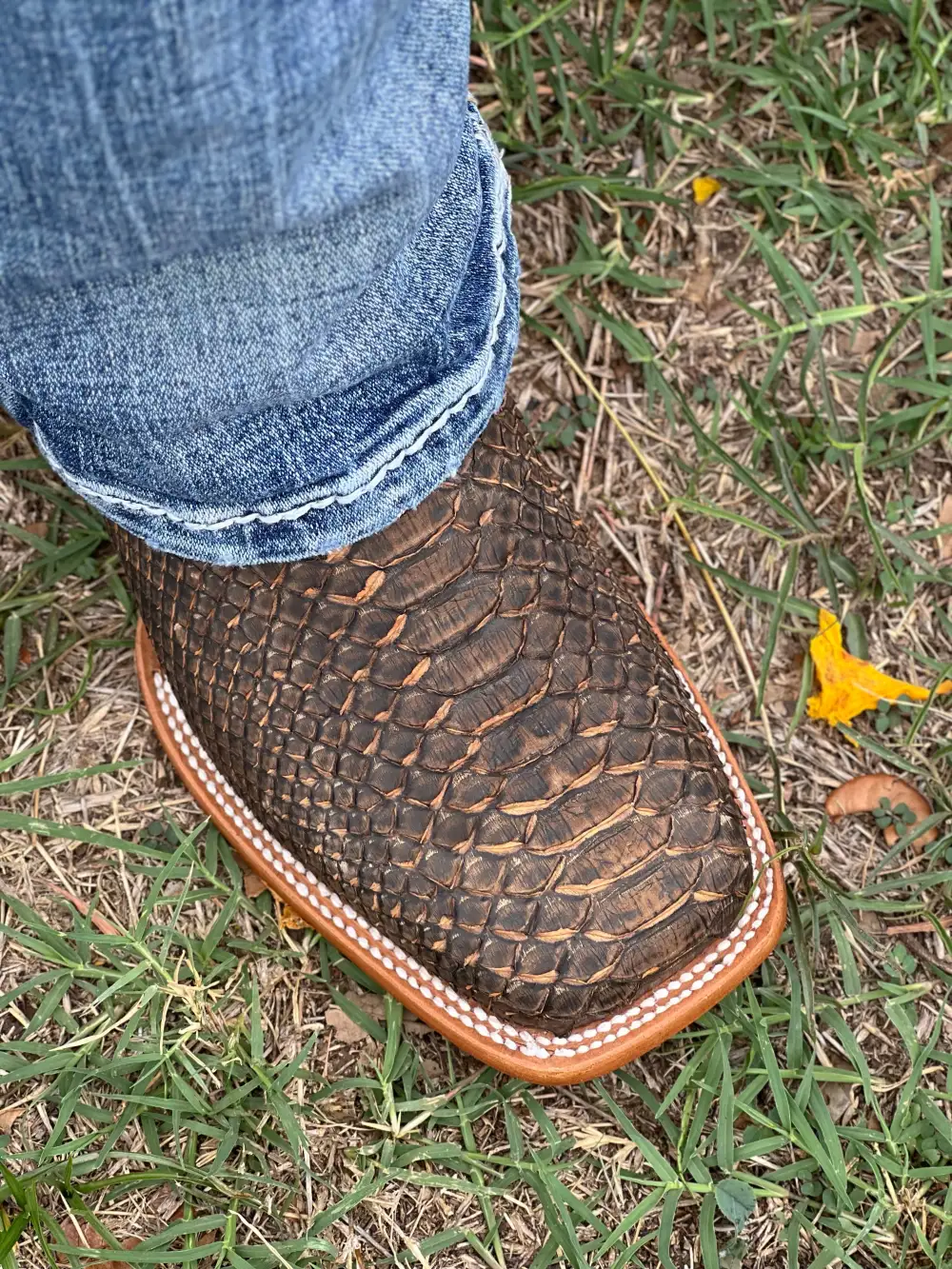 Men’s Genuine Cooper Color  Python Boots