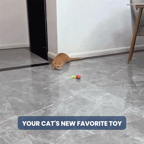 Interactive Rechargeable Cat Toy Ball