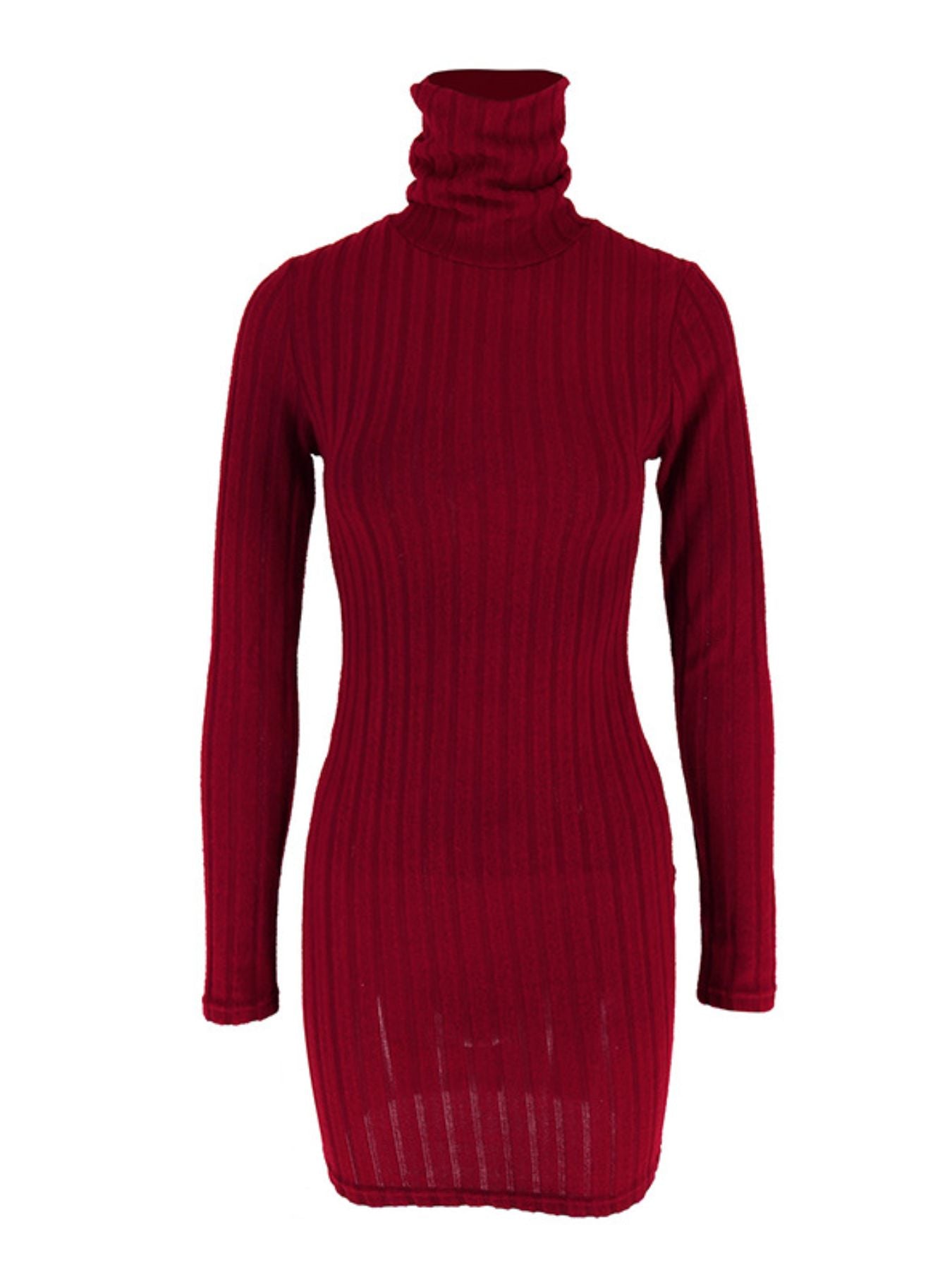 Turtleneck Ribbed Bodycon Mini Dress