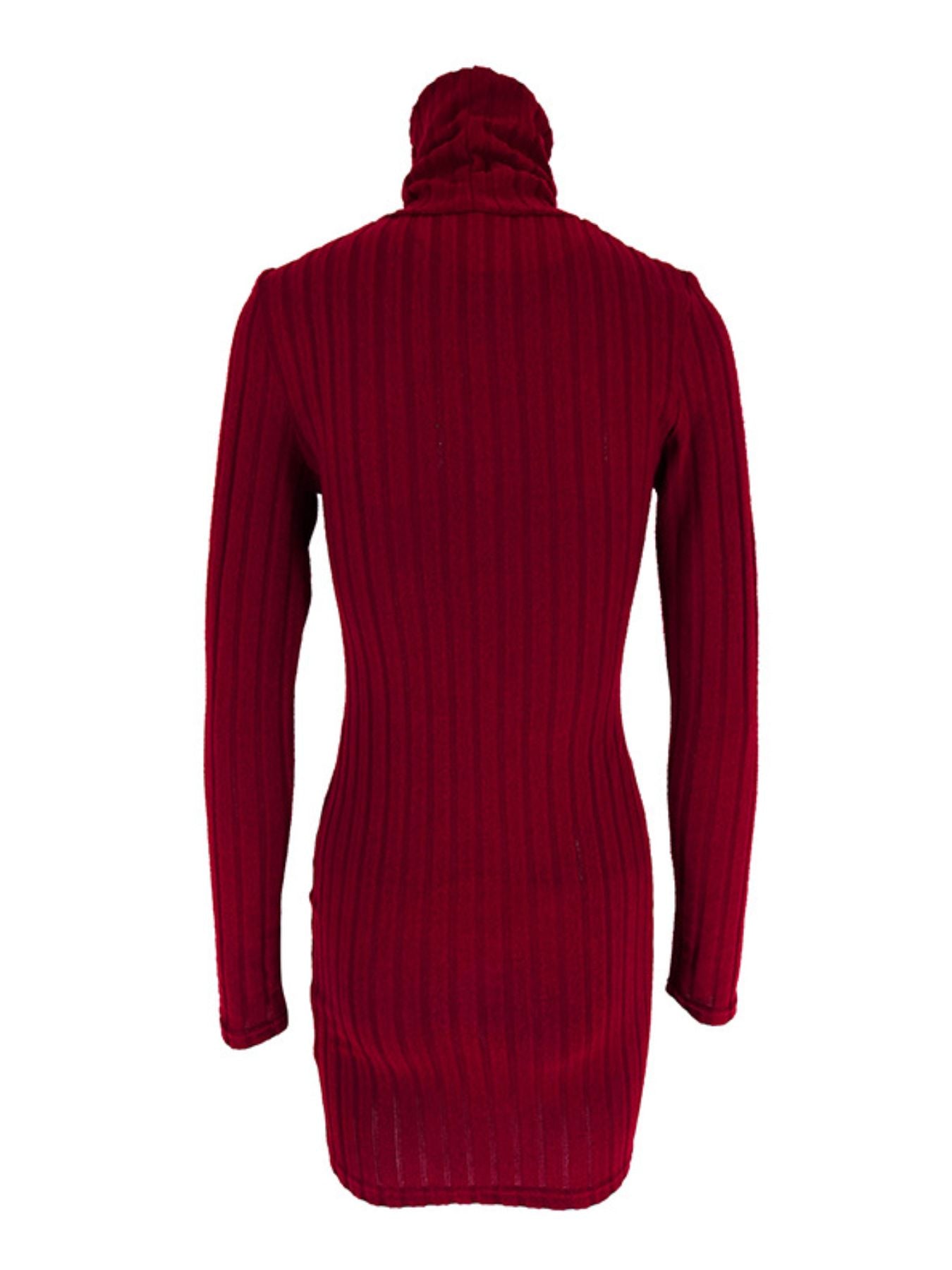 Turtleneck Ribbed Bodycon Mini Dress