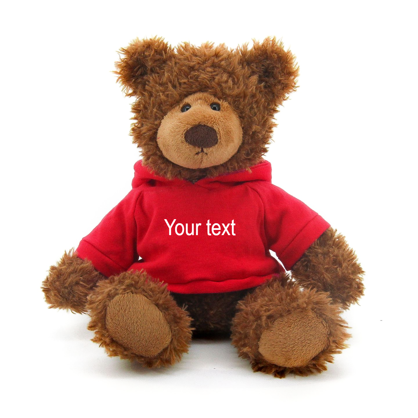 11inch Personalized Frankie with Hoodie