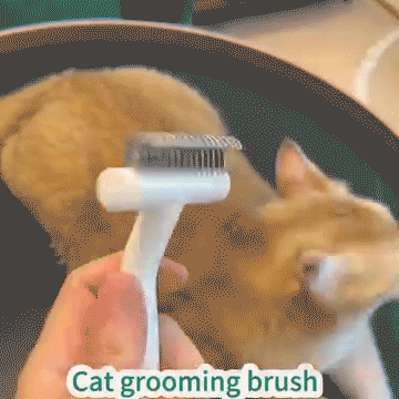 Hair Removal Comb for Pet Hook