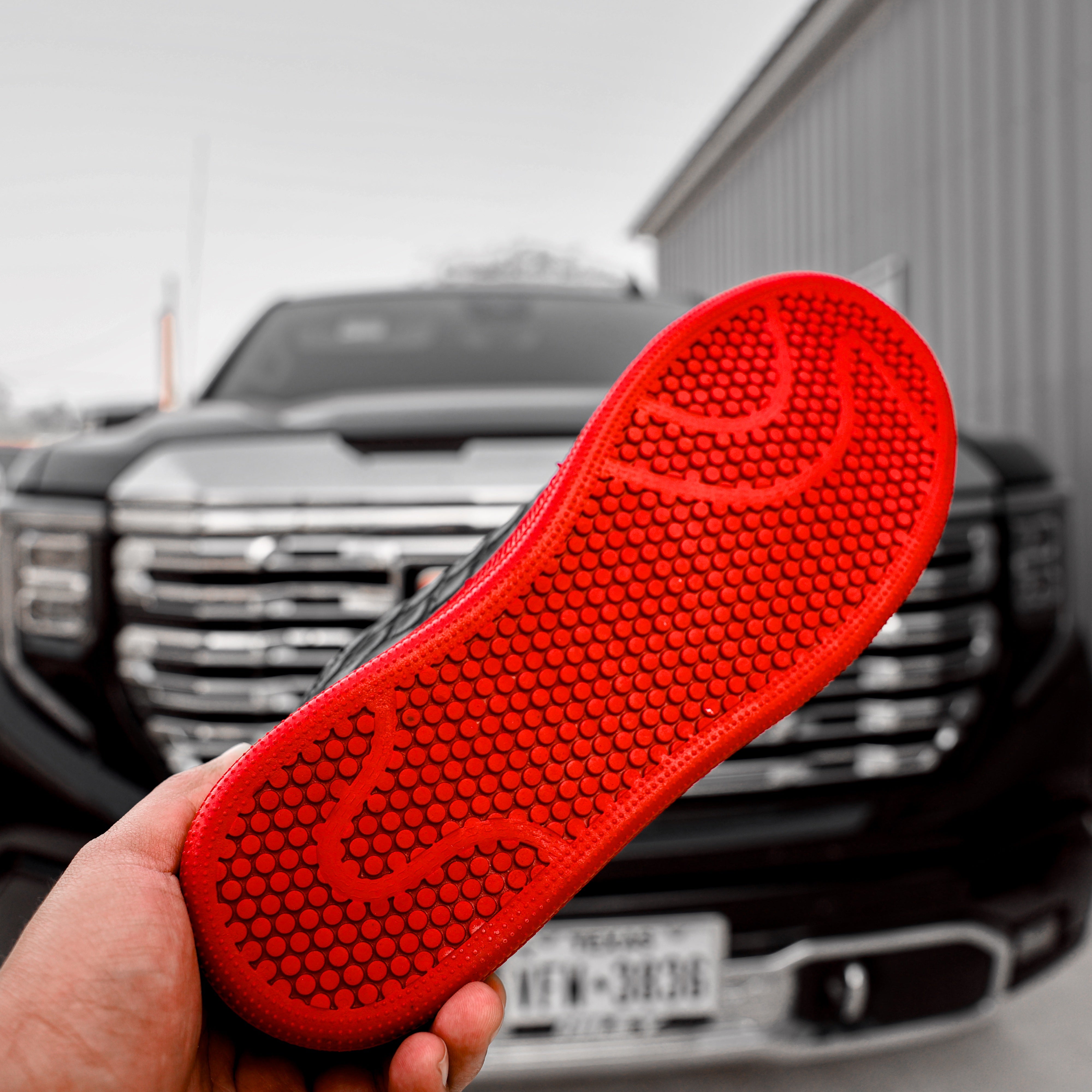 Black/Red Anteater Leather Shoes