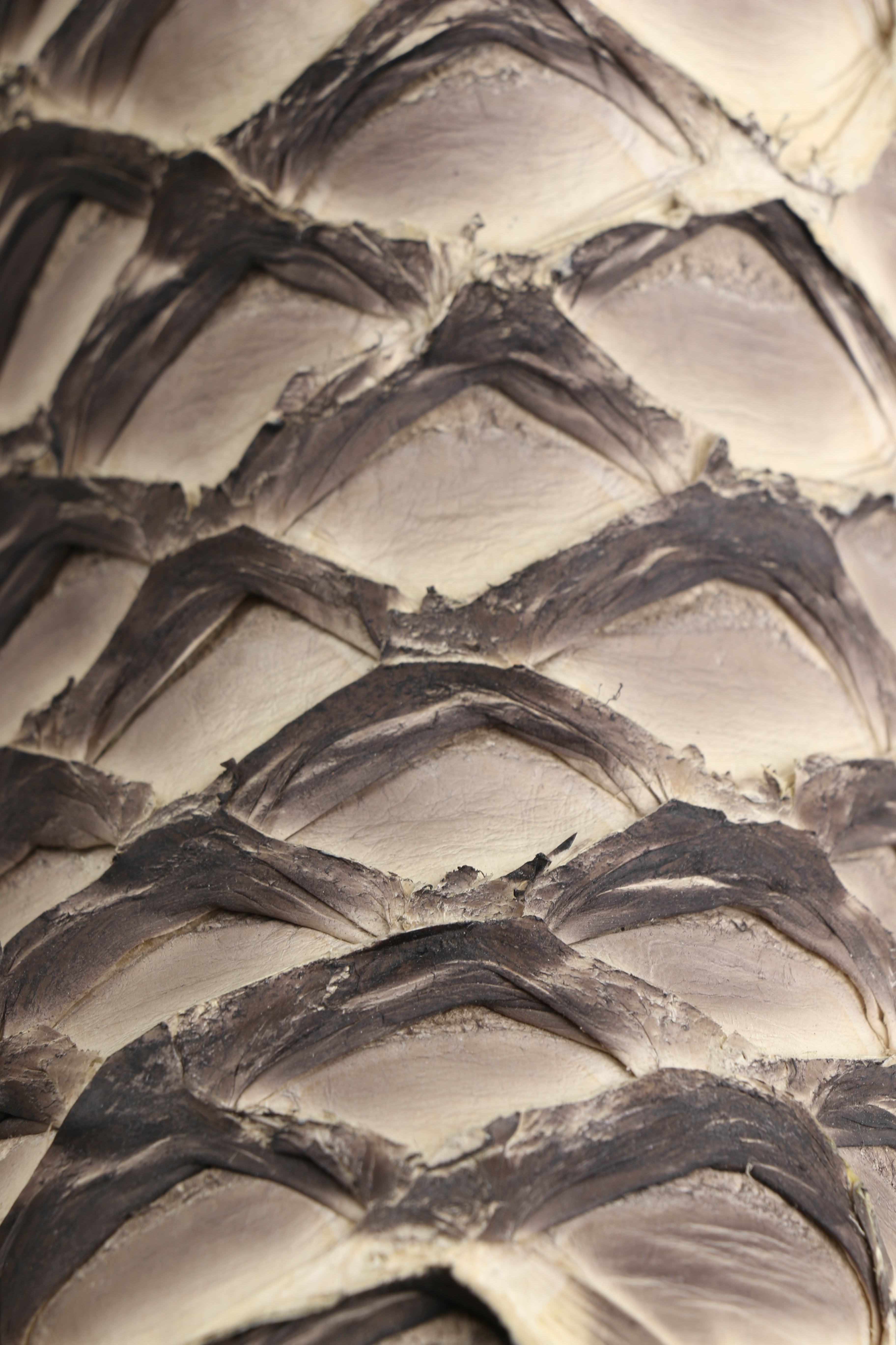 Chero's Premium Exotic Pirarucu Ivory Shadow Clearance Sale 70%OFF