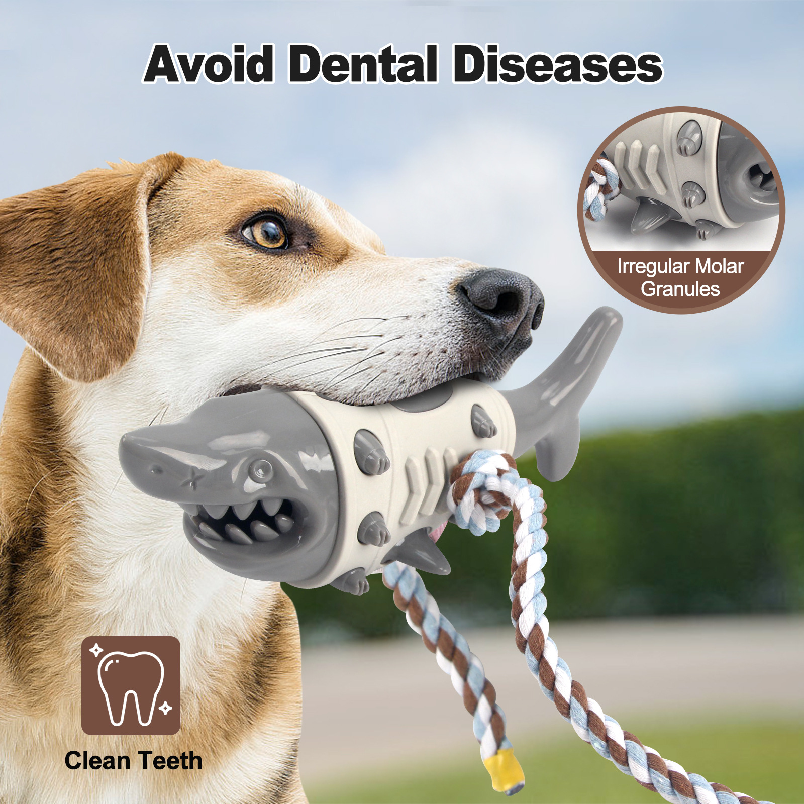 Shark Dog Toys For Aggressive Chewers