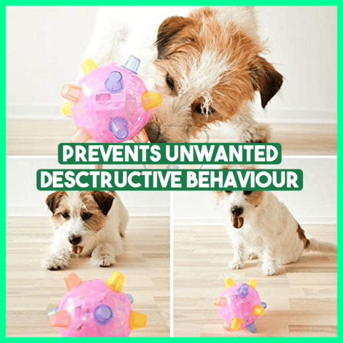 Jumping Activation Ball for Dogs2 Pcs/SetBlue+Pink