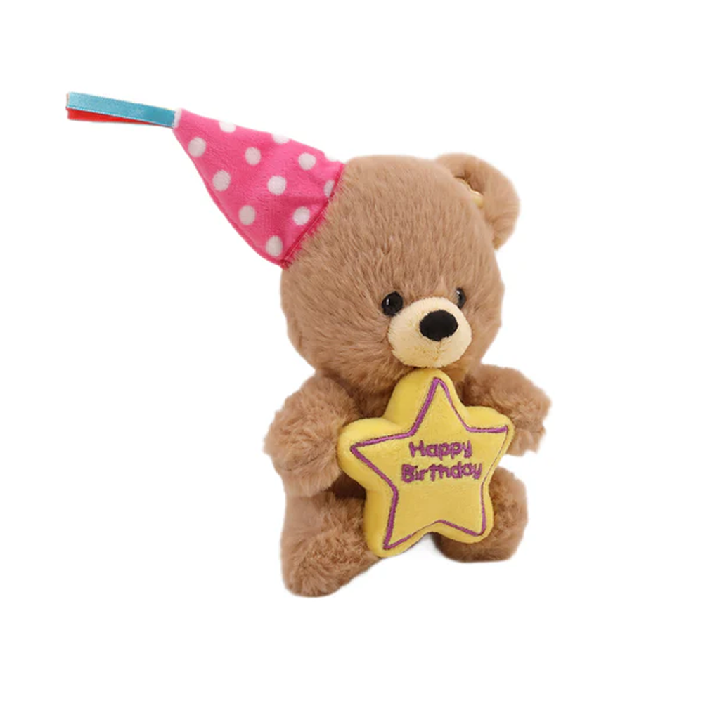 Birthday Star Bear with Hat 8inch