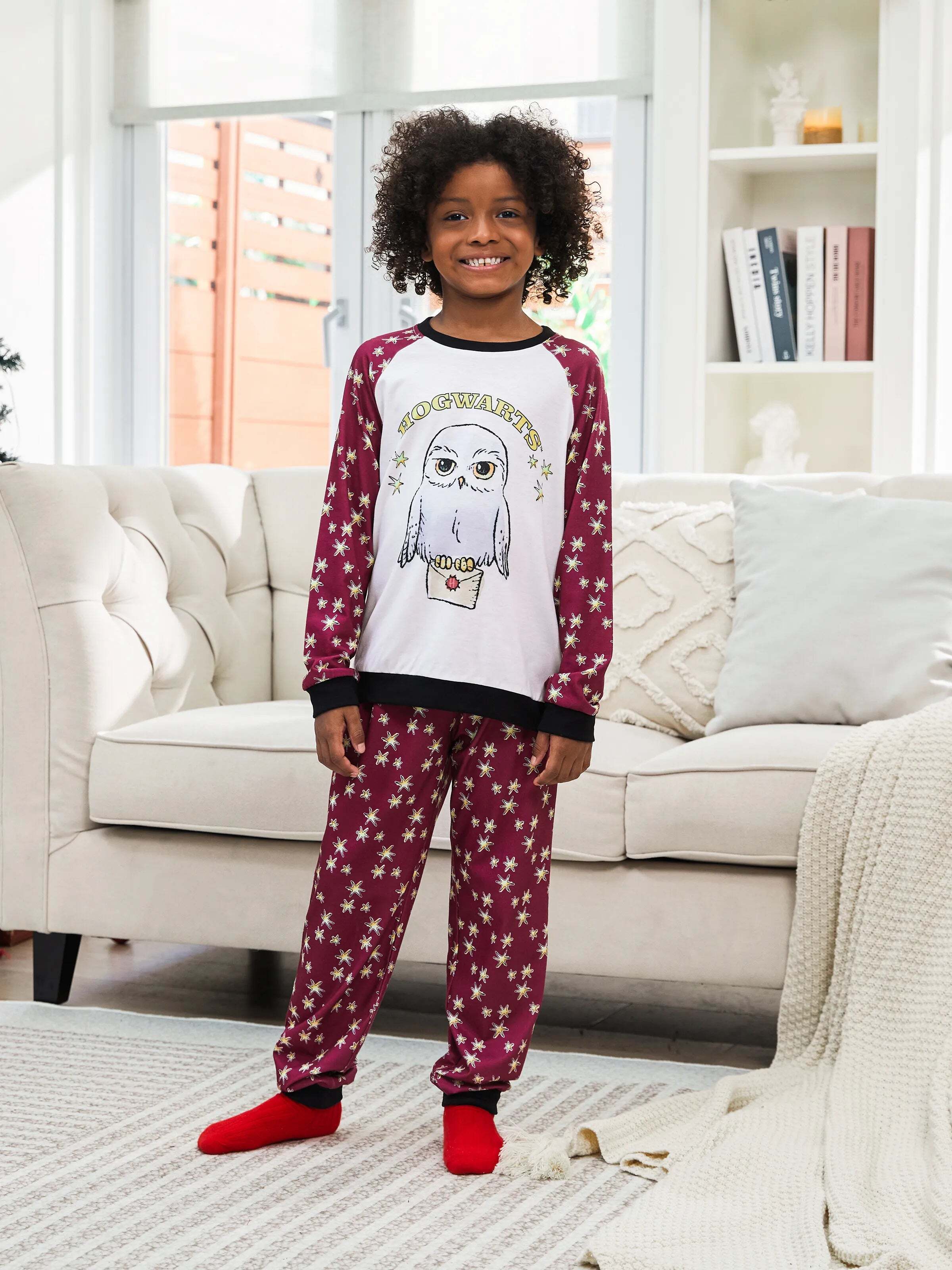 Christmas Family Matching Hedwig Print Pajamas Sets with Christmas Socks