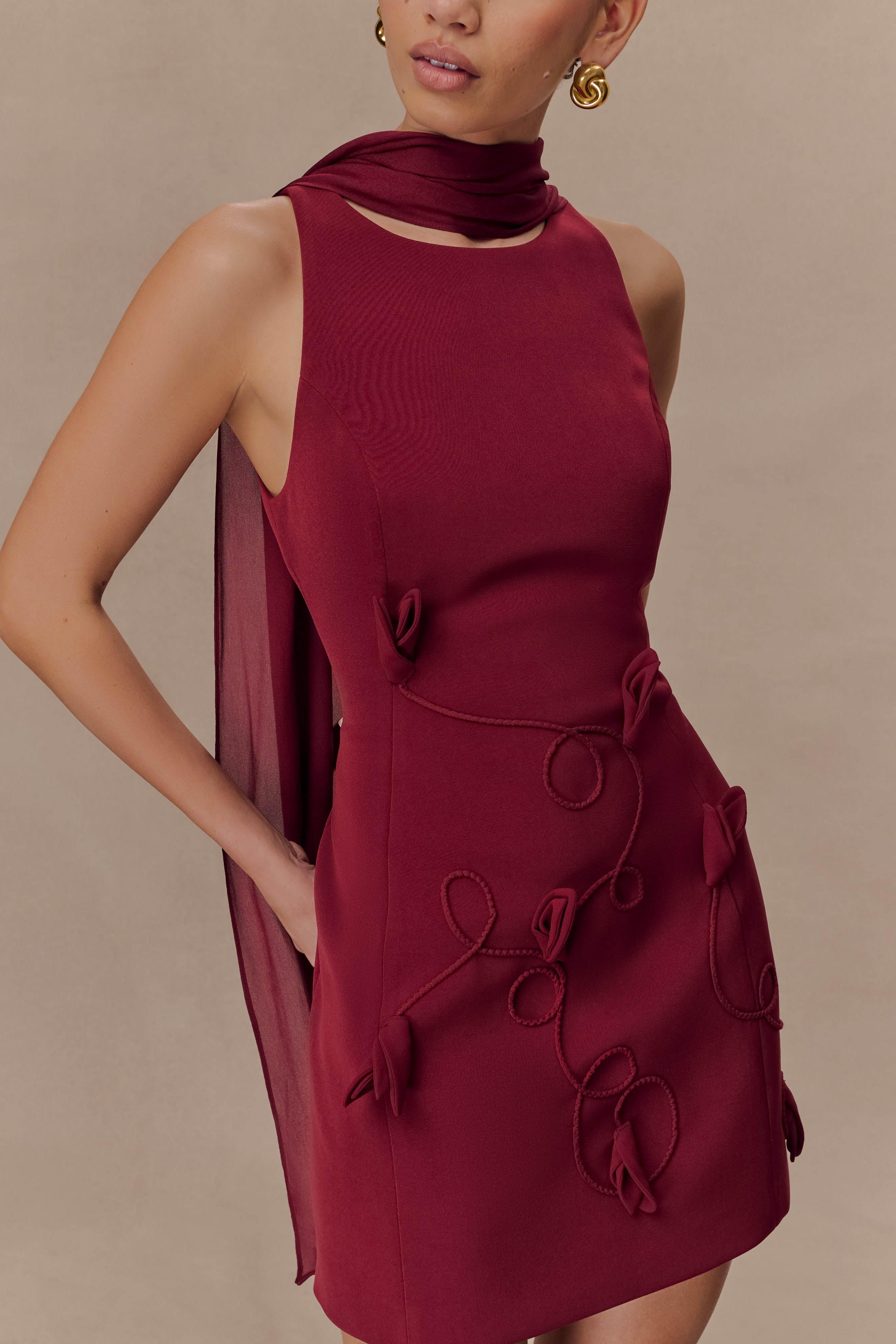 Wine Suiting Embroidered Mini Dress