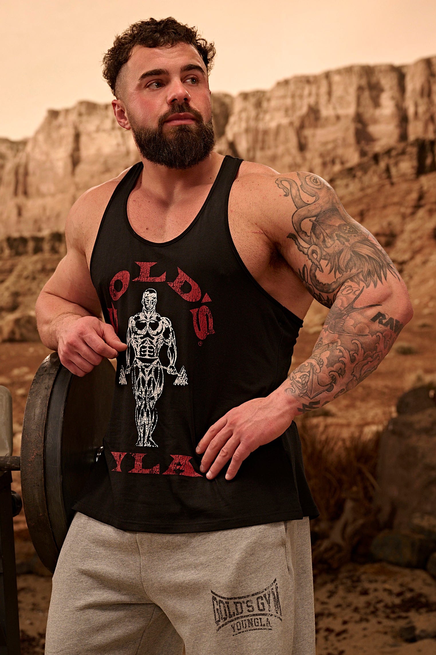 3003 - Gold's Iron Legacy Icon Stringers