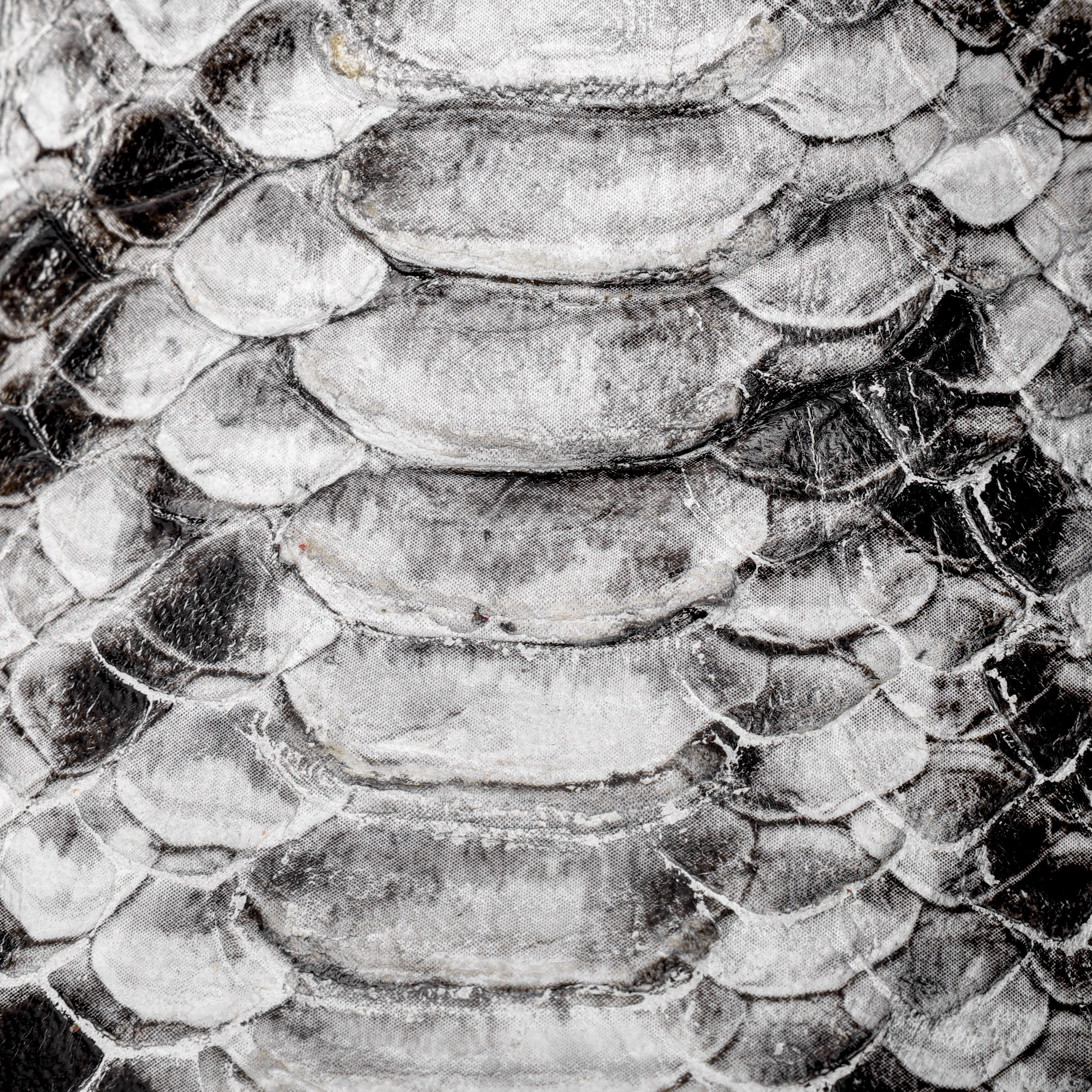 Natural Python Leather Botin With 3D Lightweight Soles - Square Toe