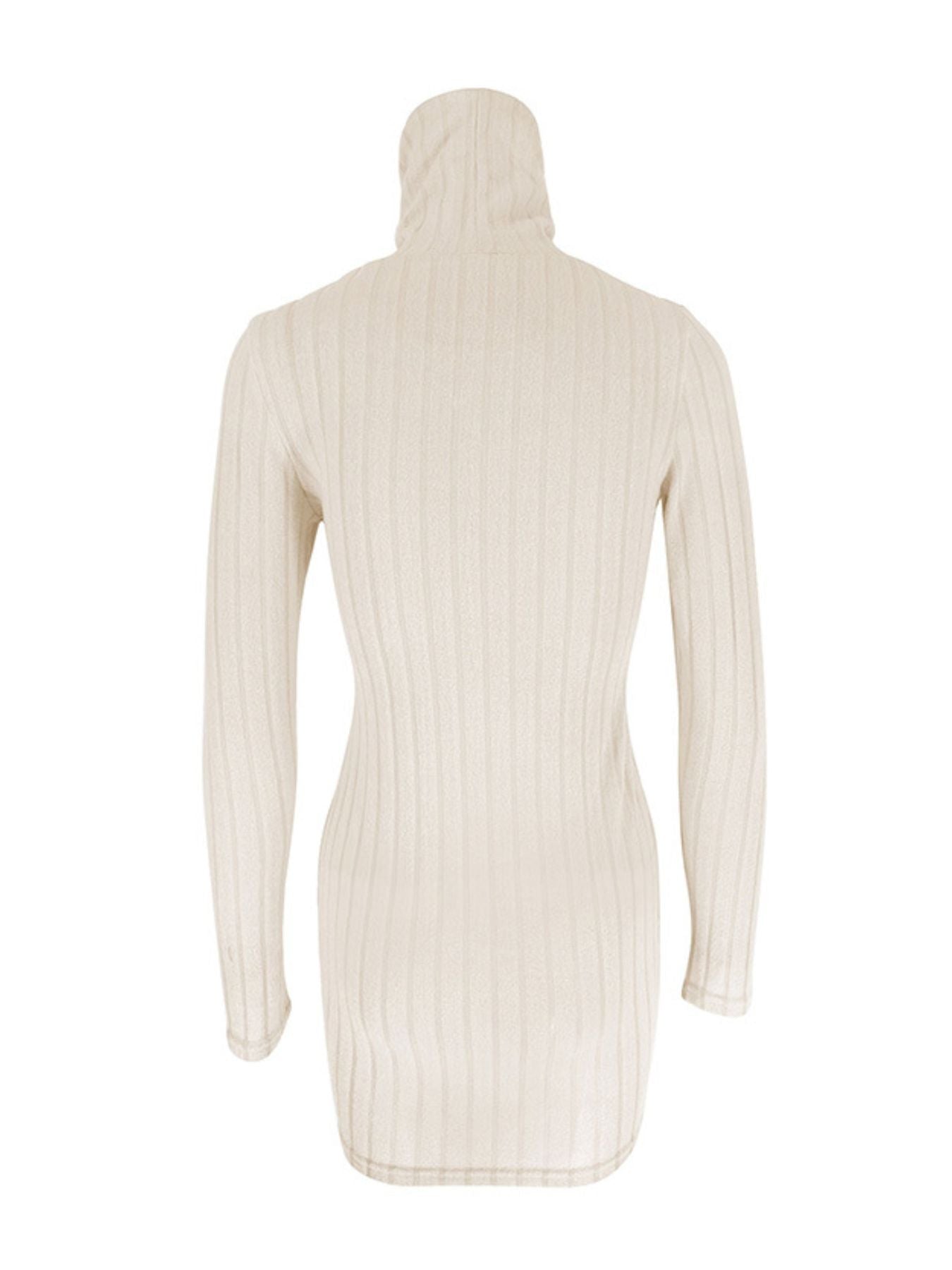 Turtleneck Ribbed Bodycon Mini Dress