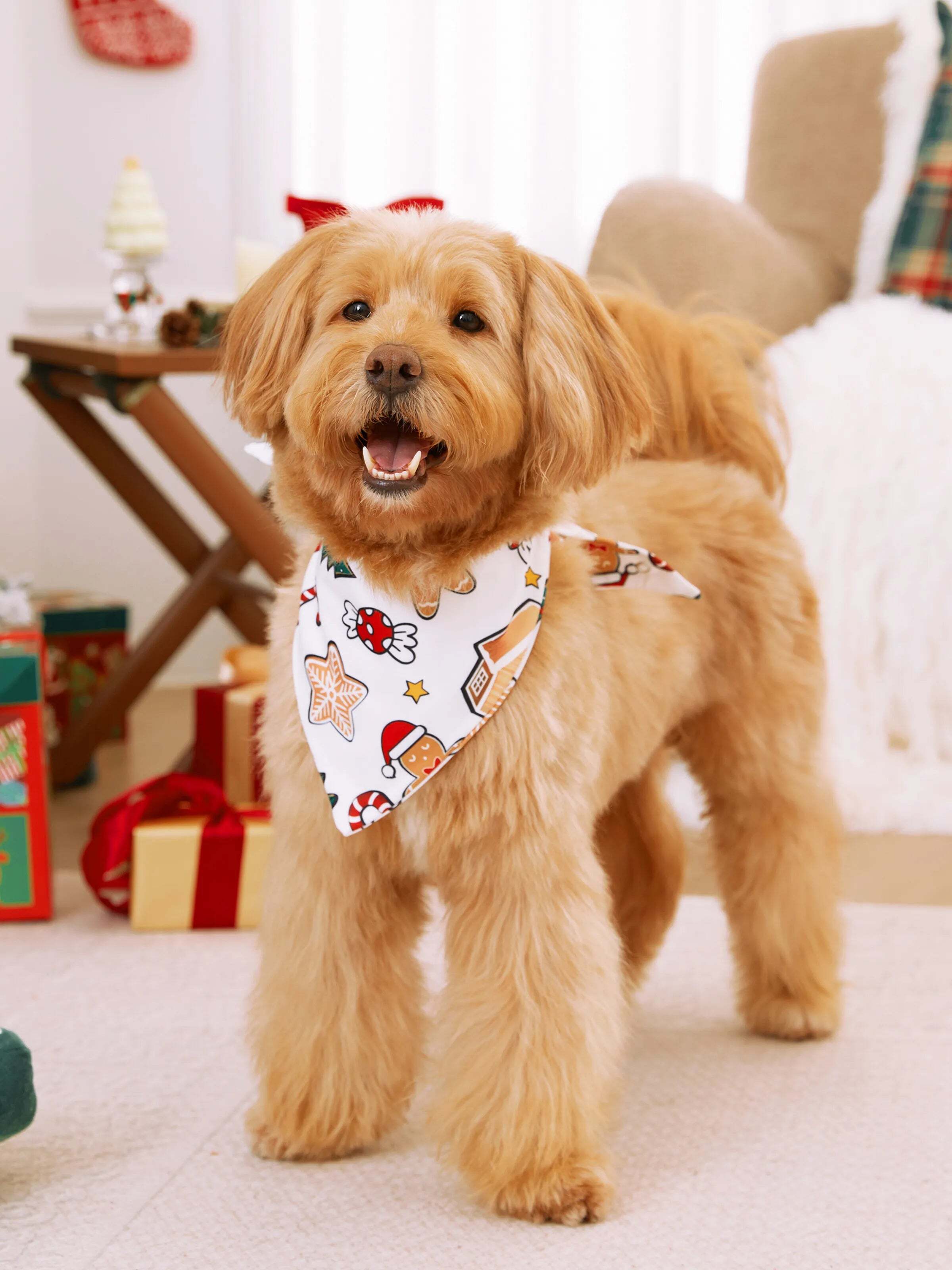 Gingerbread House Pajamas Matching Family Green Christmas PJs Sets with Christmas Socks Multi-color