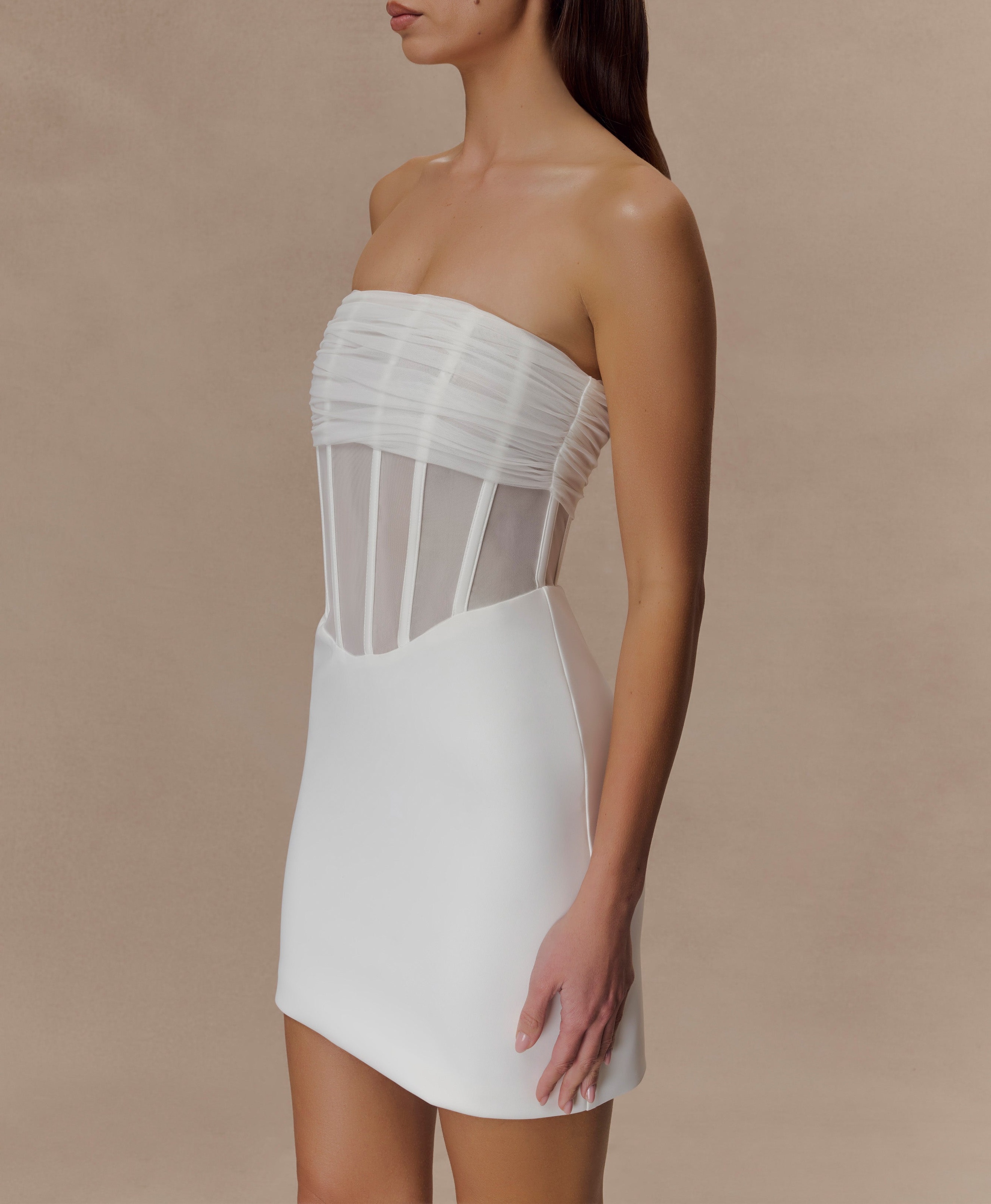 Ivory Mesh Corset Mini Dress