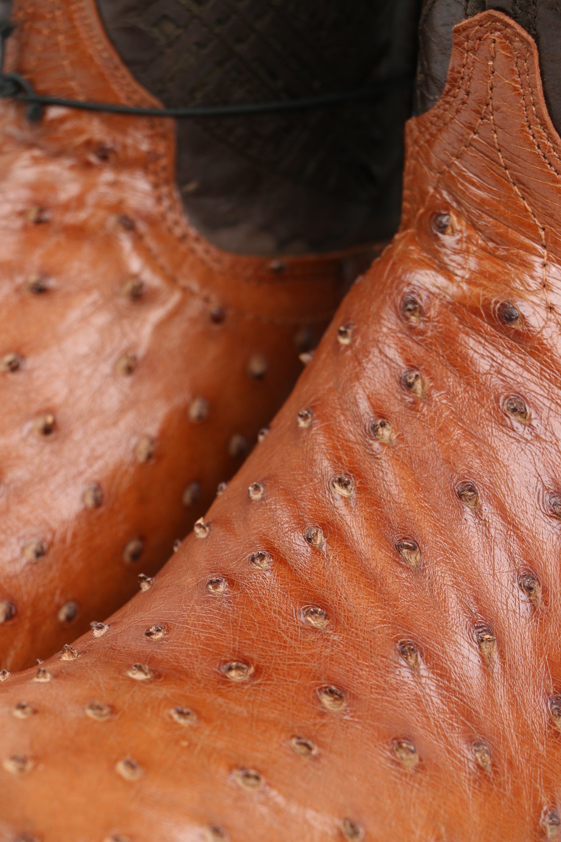 Chero's Premium Exotic Ostrich Brandy Clearance Sale 70%OFF