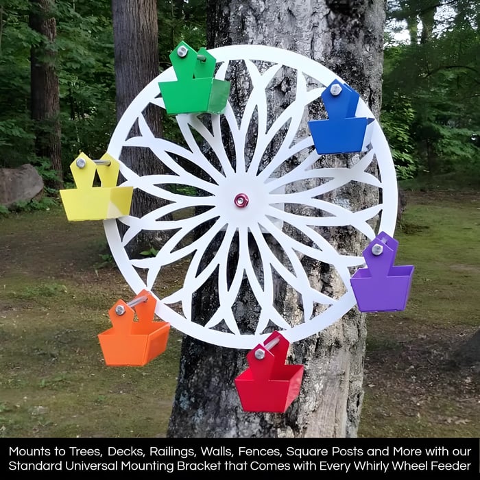 Wheel Bird Feeder - The Ferris Wheel of Fun for Your Feathered Friends