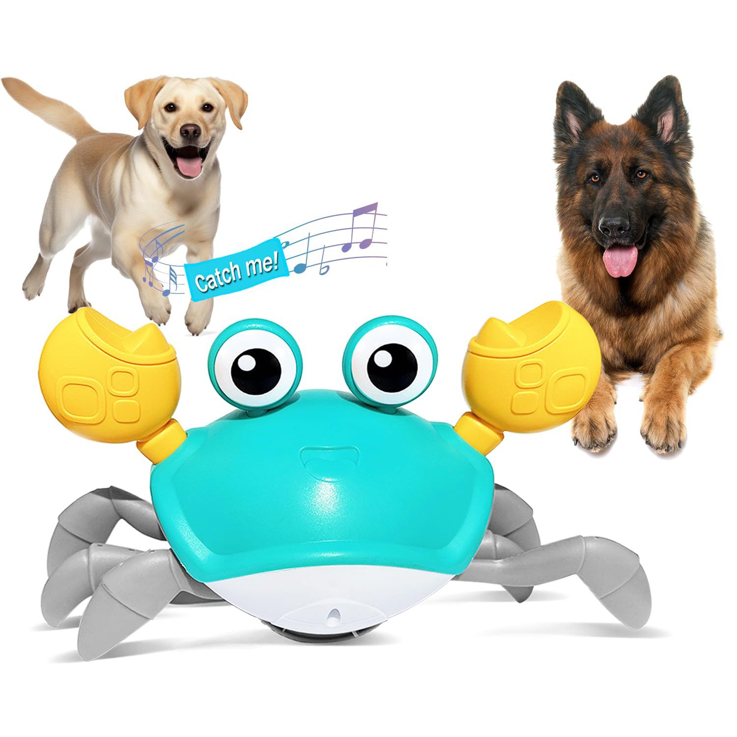 Crawling Crab - Interactive Toy for Pups