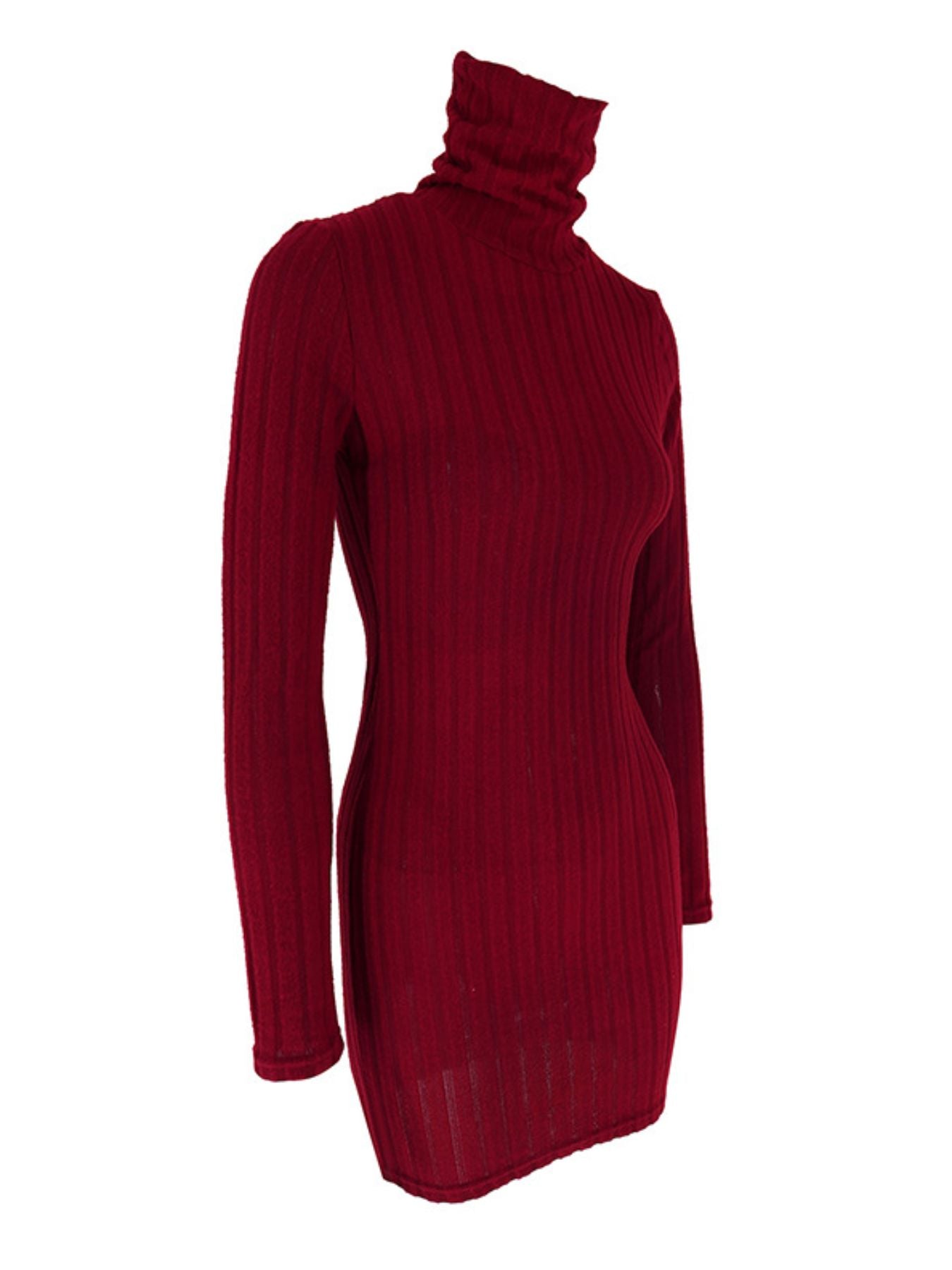 Turtleneck Ribbed Bodycon Mini Dress