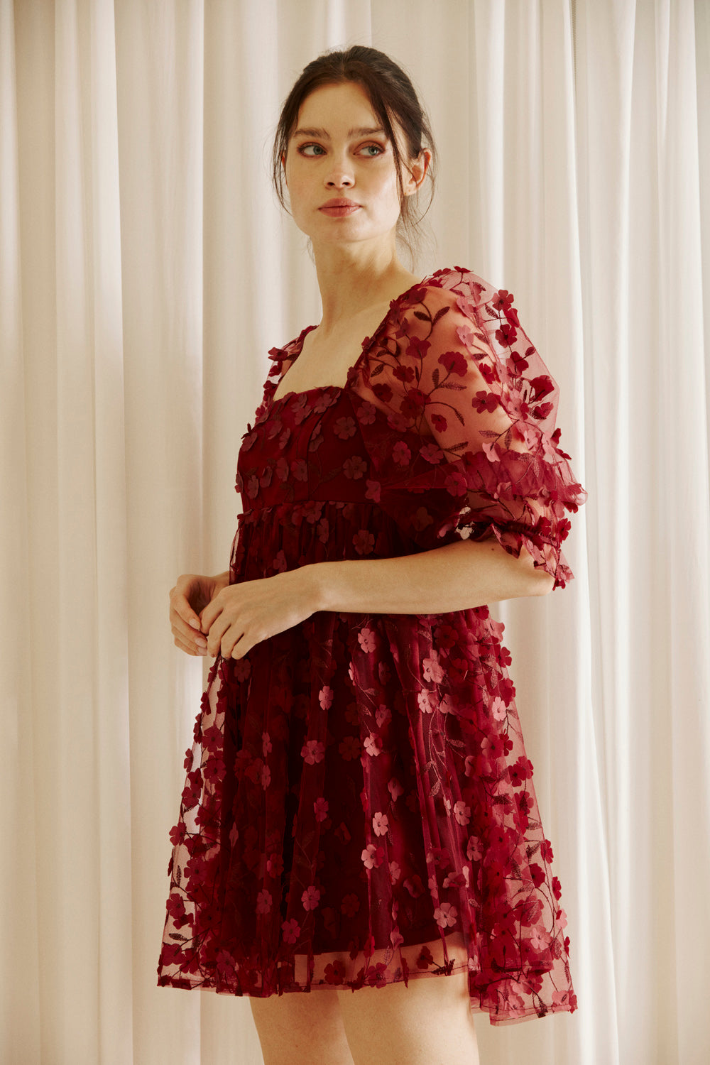 Adelina Burgundy 3D Floral Embroidered Dress