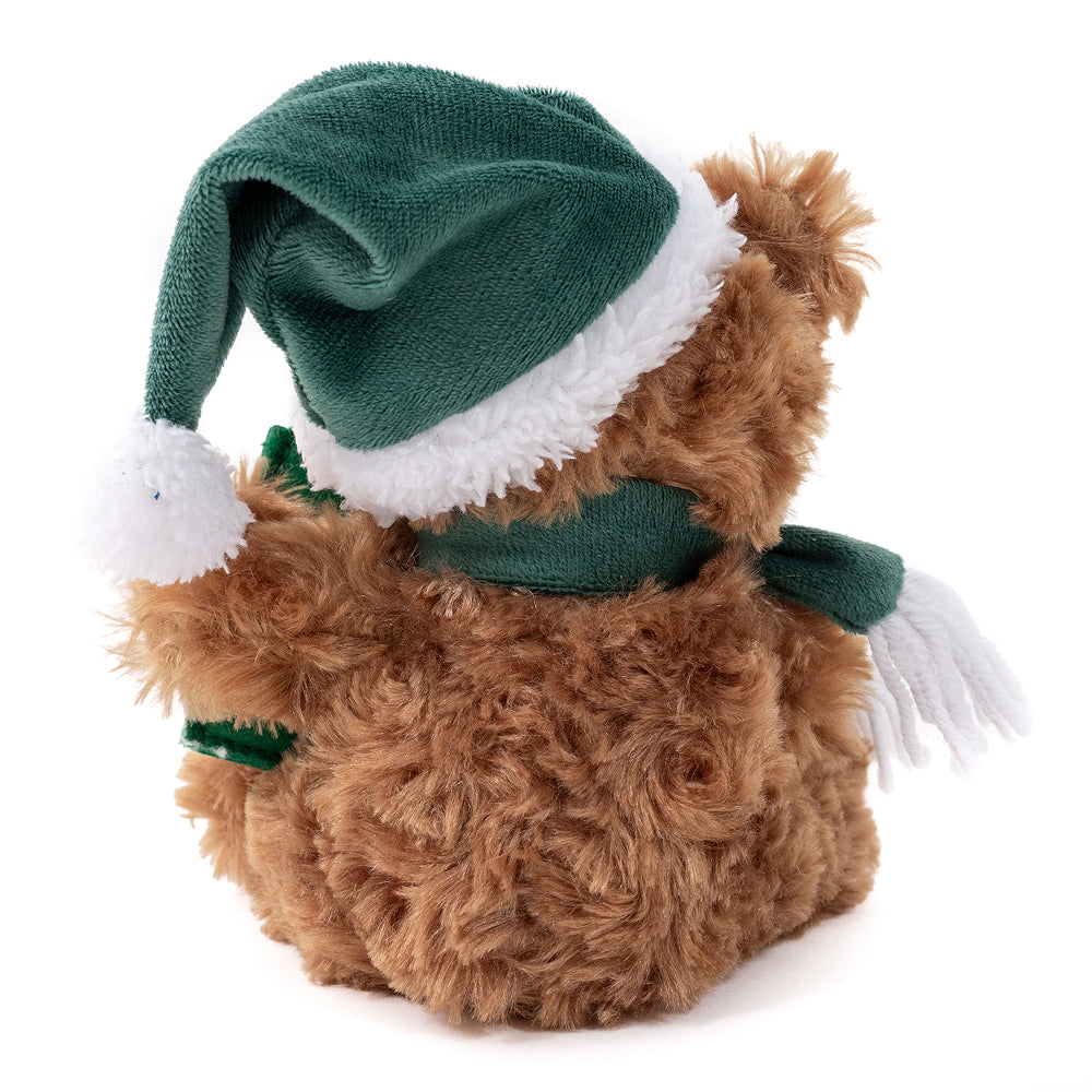 Christmas Green Gift Card Bear 9inch