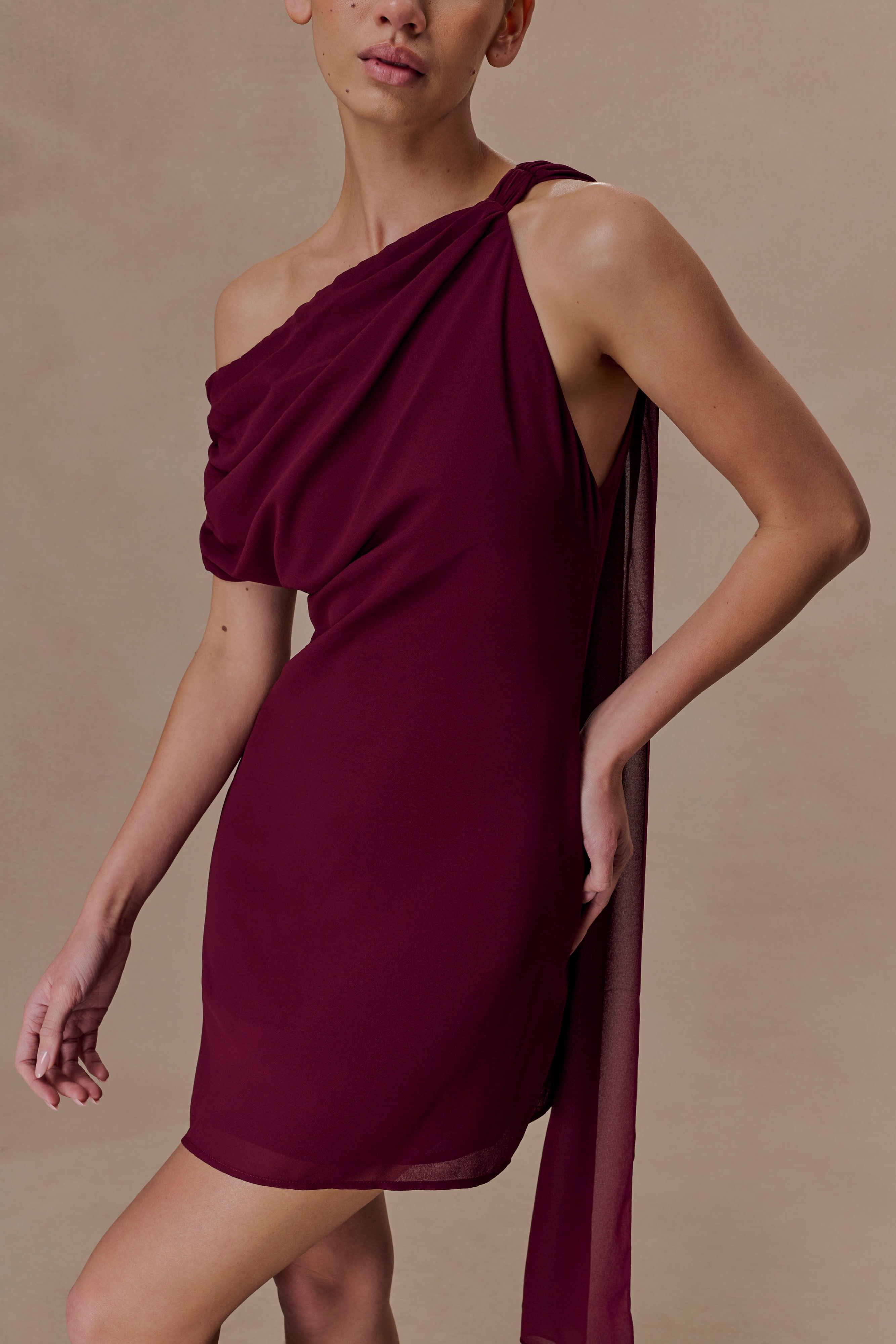 Wine Chiffon Mini Dress