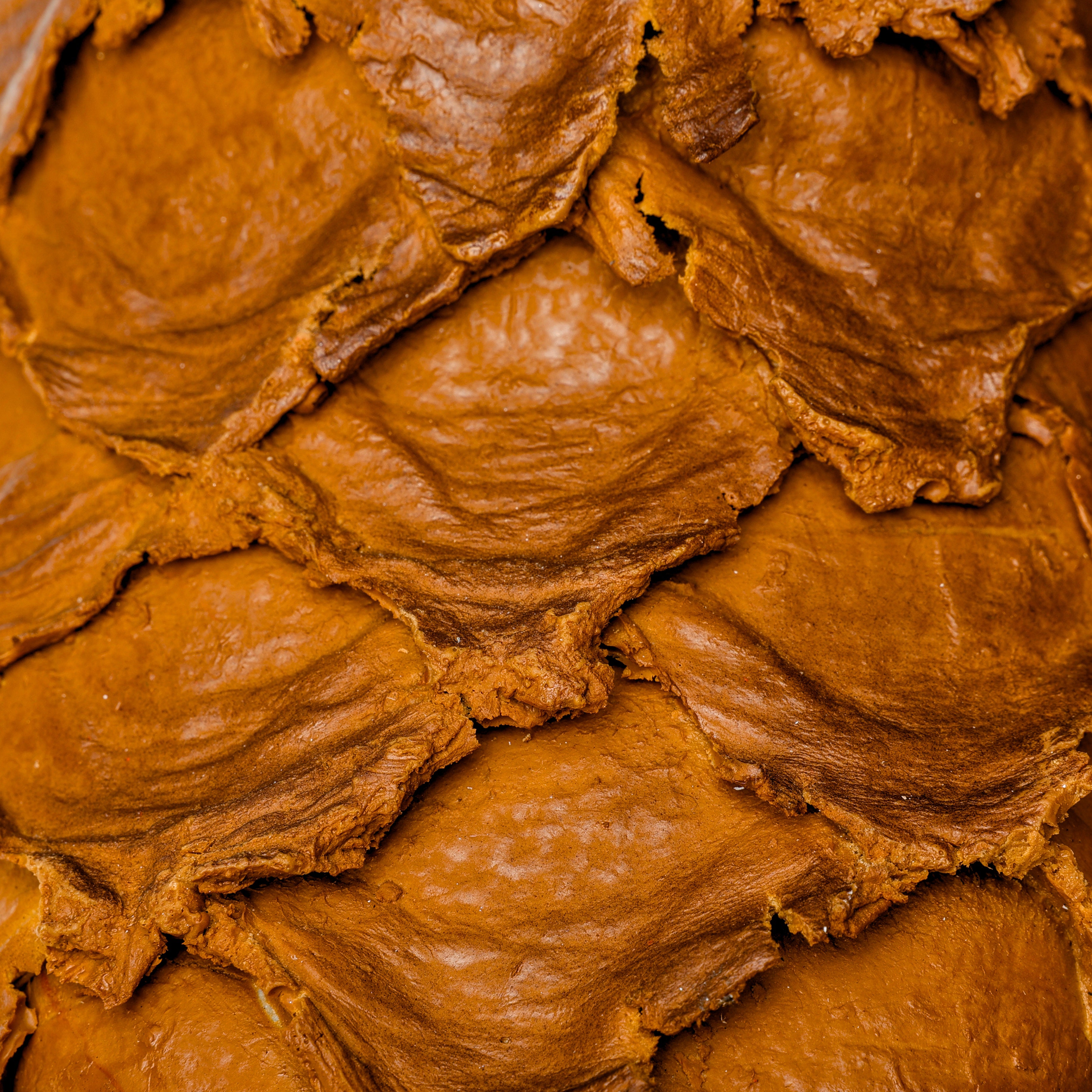 Matte Tan Jumbo Pirarucu Leather Boots - Square Toe